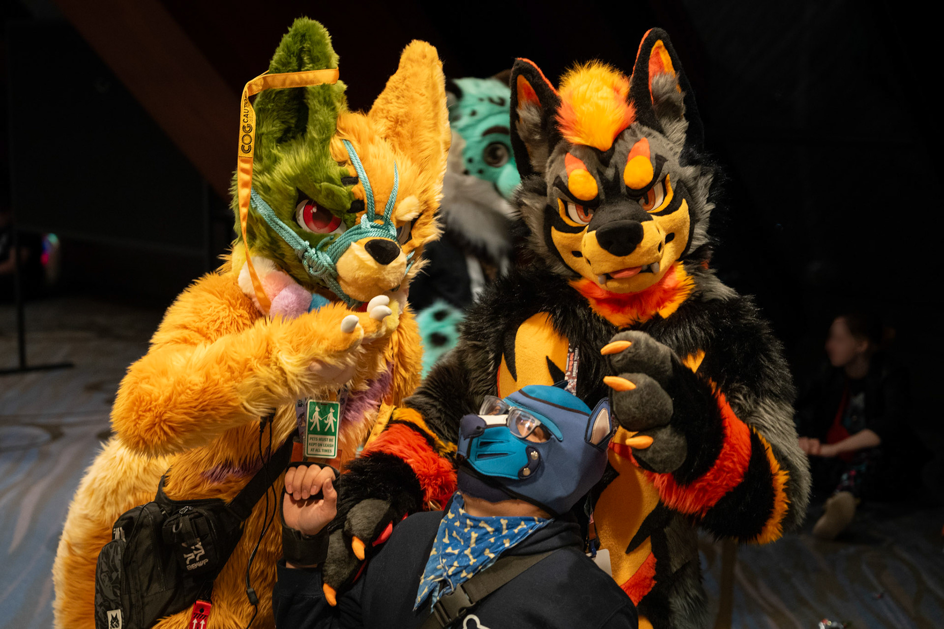 Furnal Equinox 2025