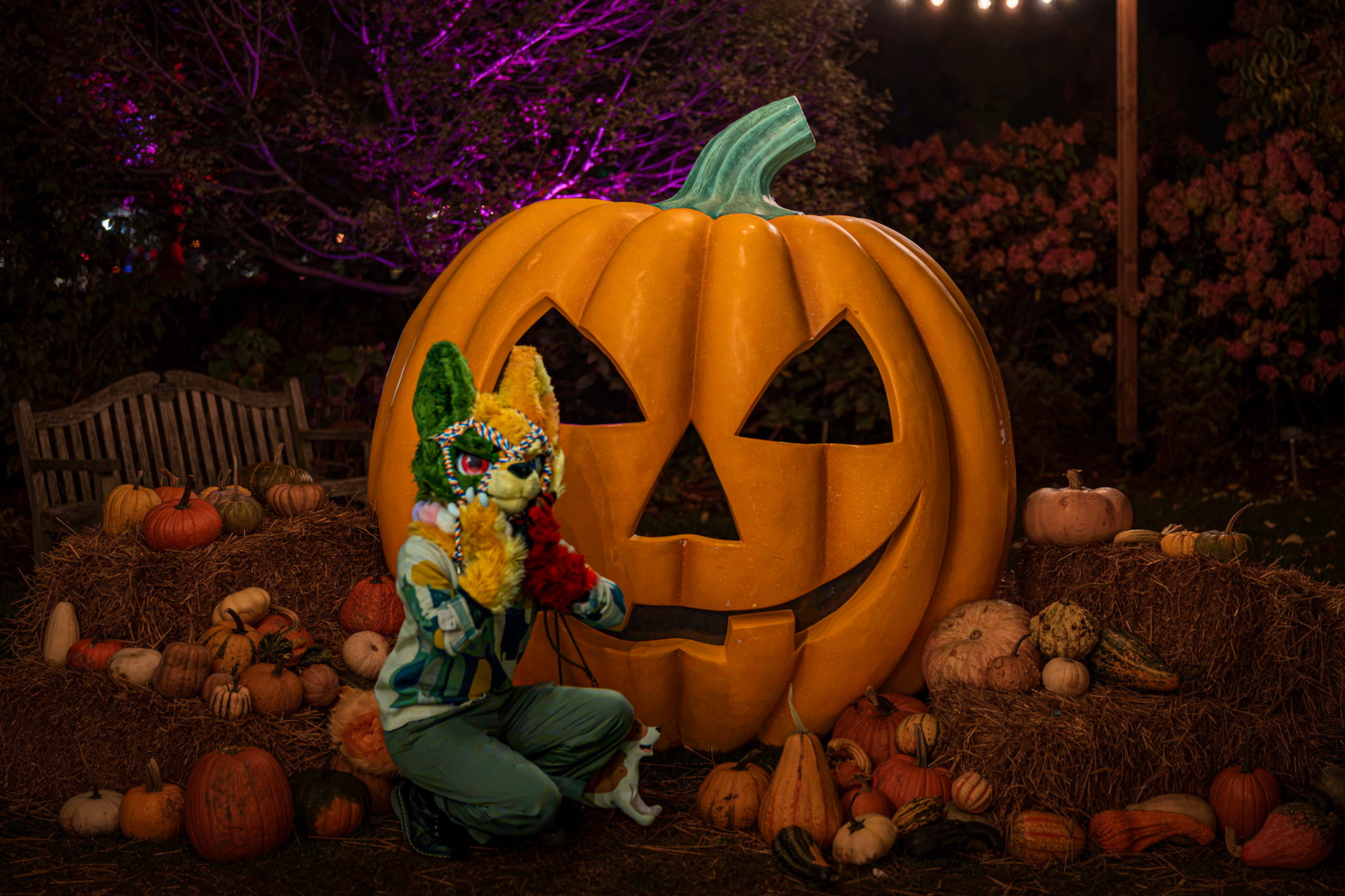 Pumpkin Trail