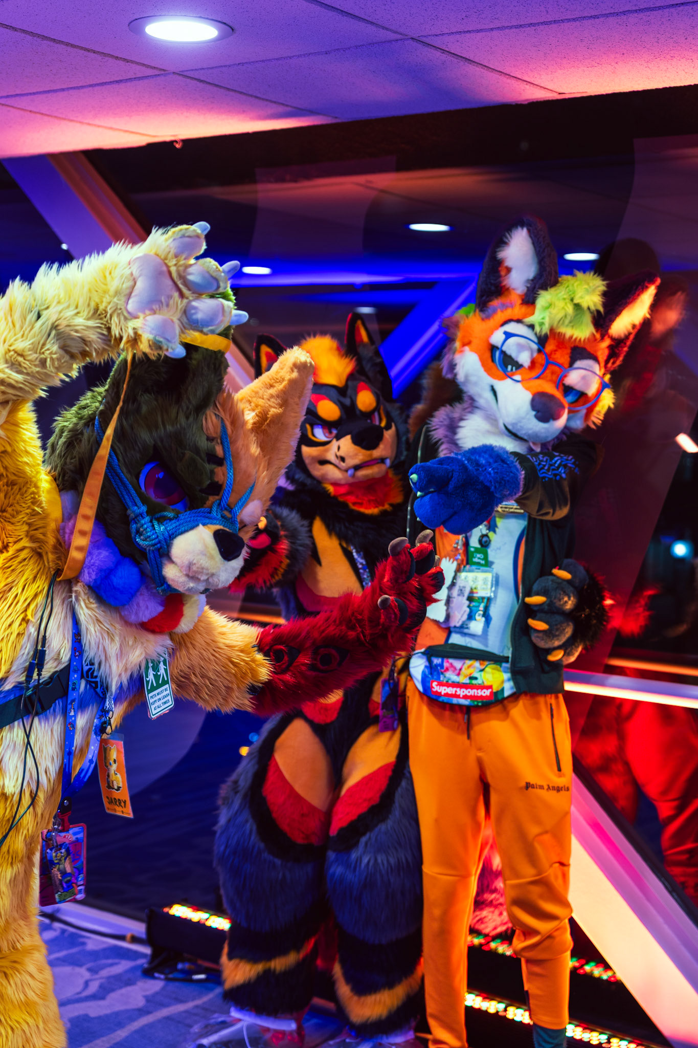 Furnal Equinox 2025