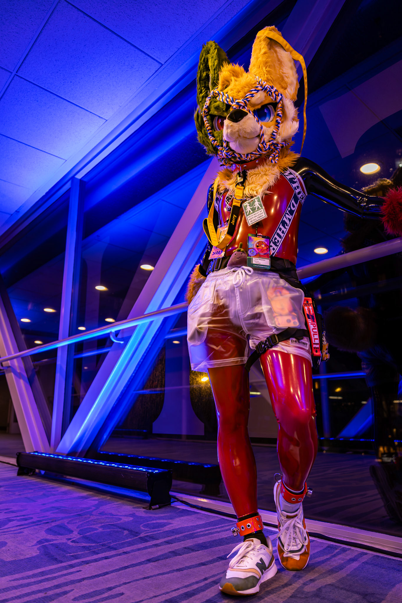 Furnal Equinox