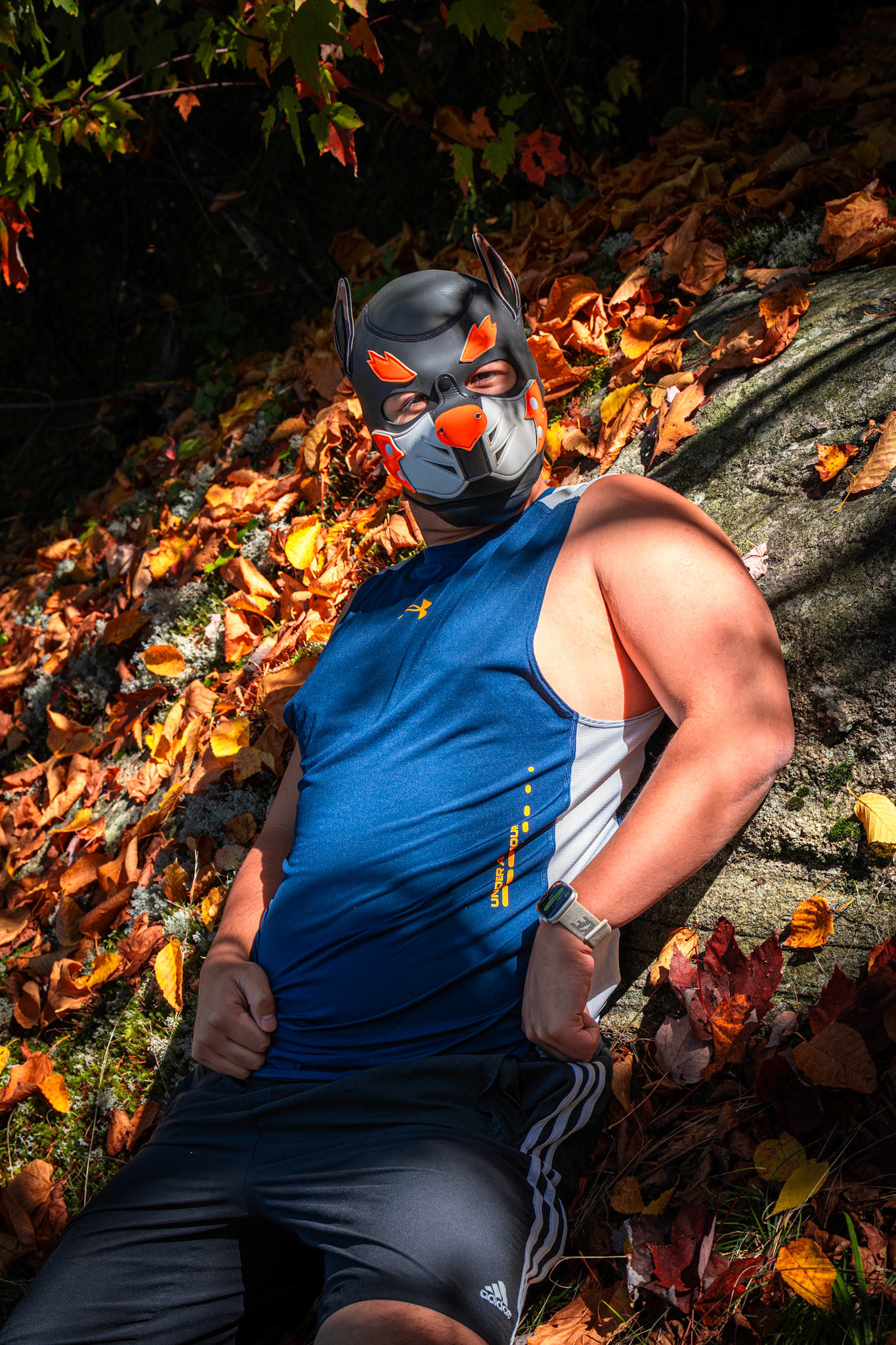 Algonquin Fall Colour