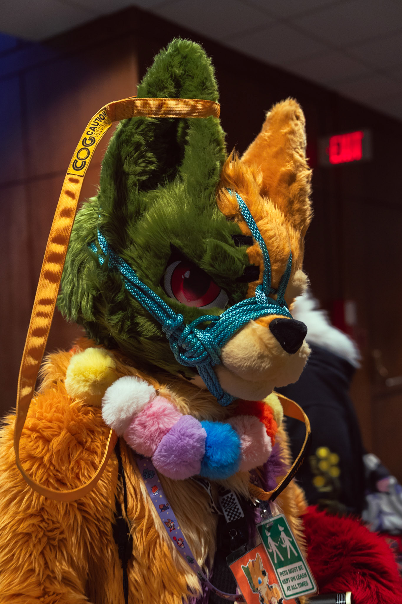 Furnal Equinox 2025
