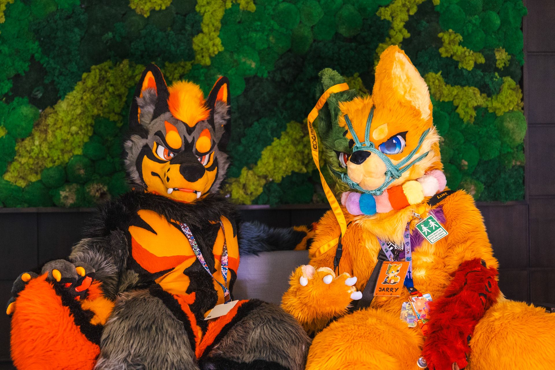 Furnal Equinox 2025