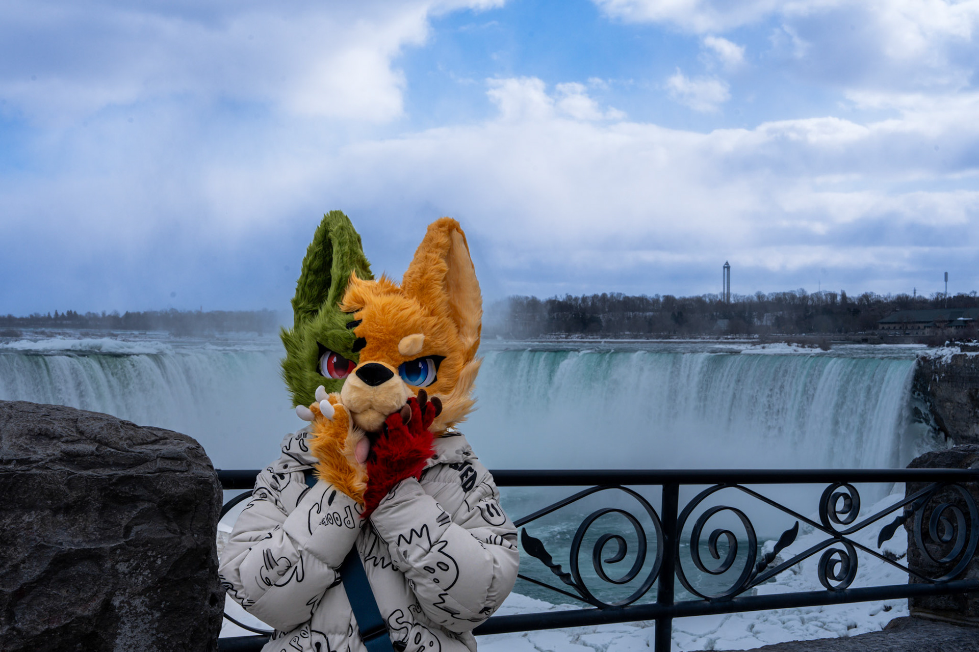 Niagara Winters