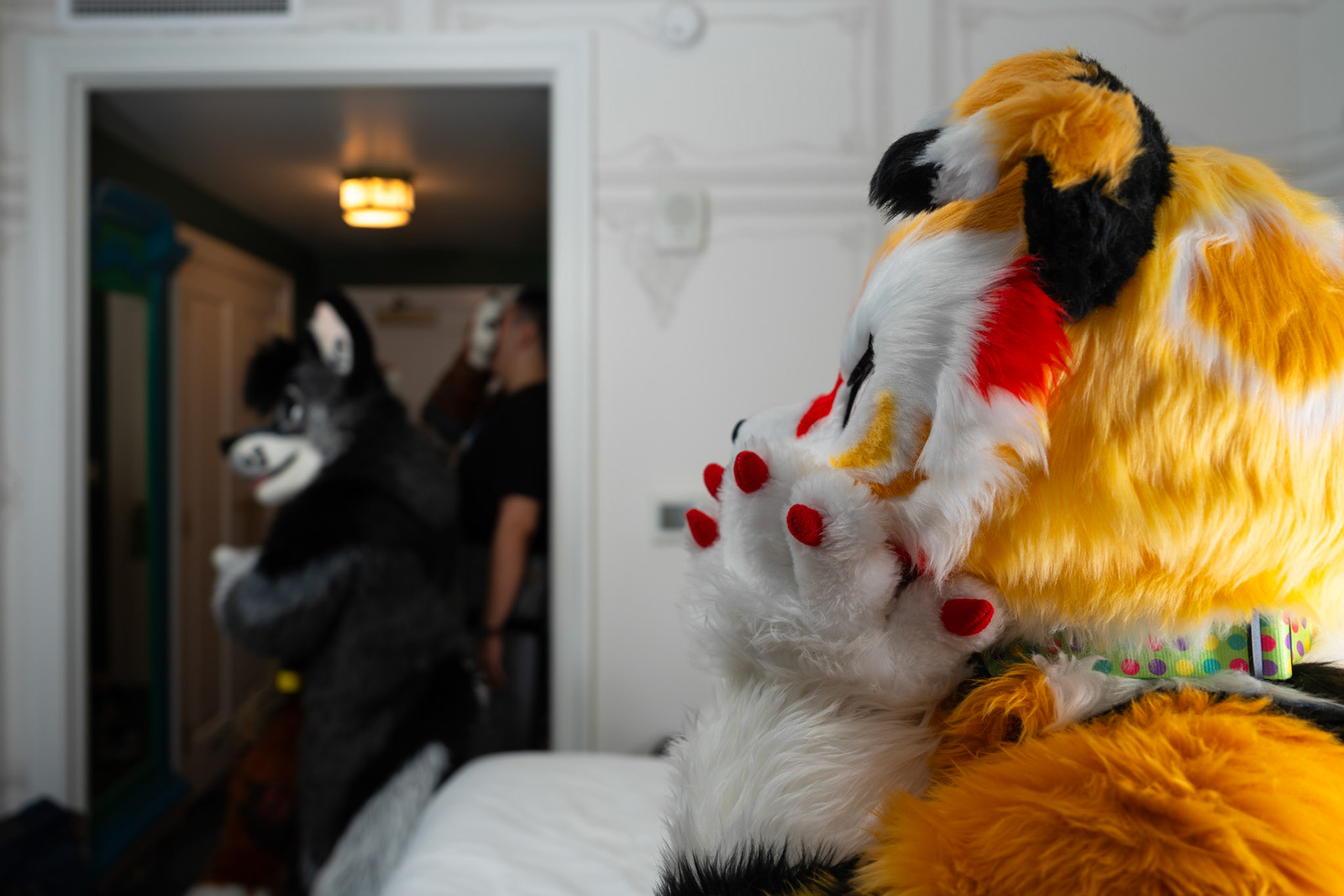 Anthrocon 2025