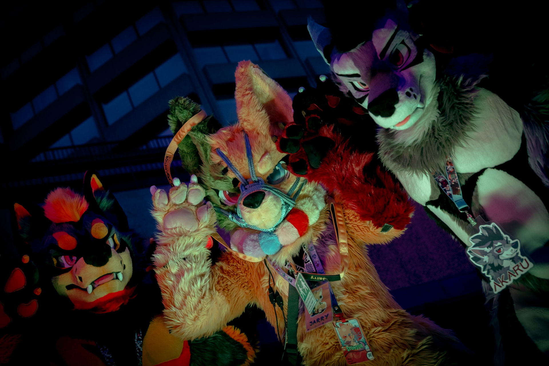Furnal Equinox 2025
