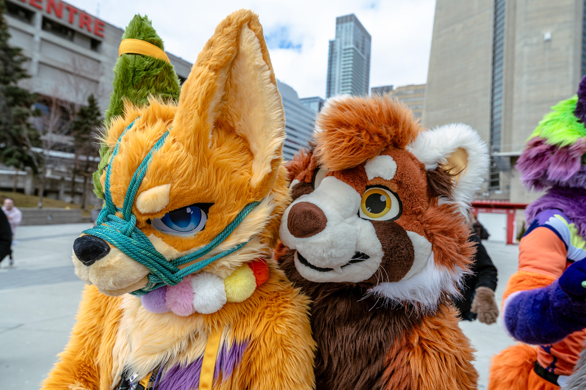 Furnal Equinox 2025