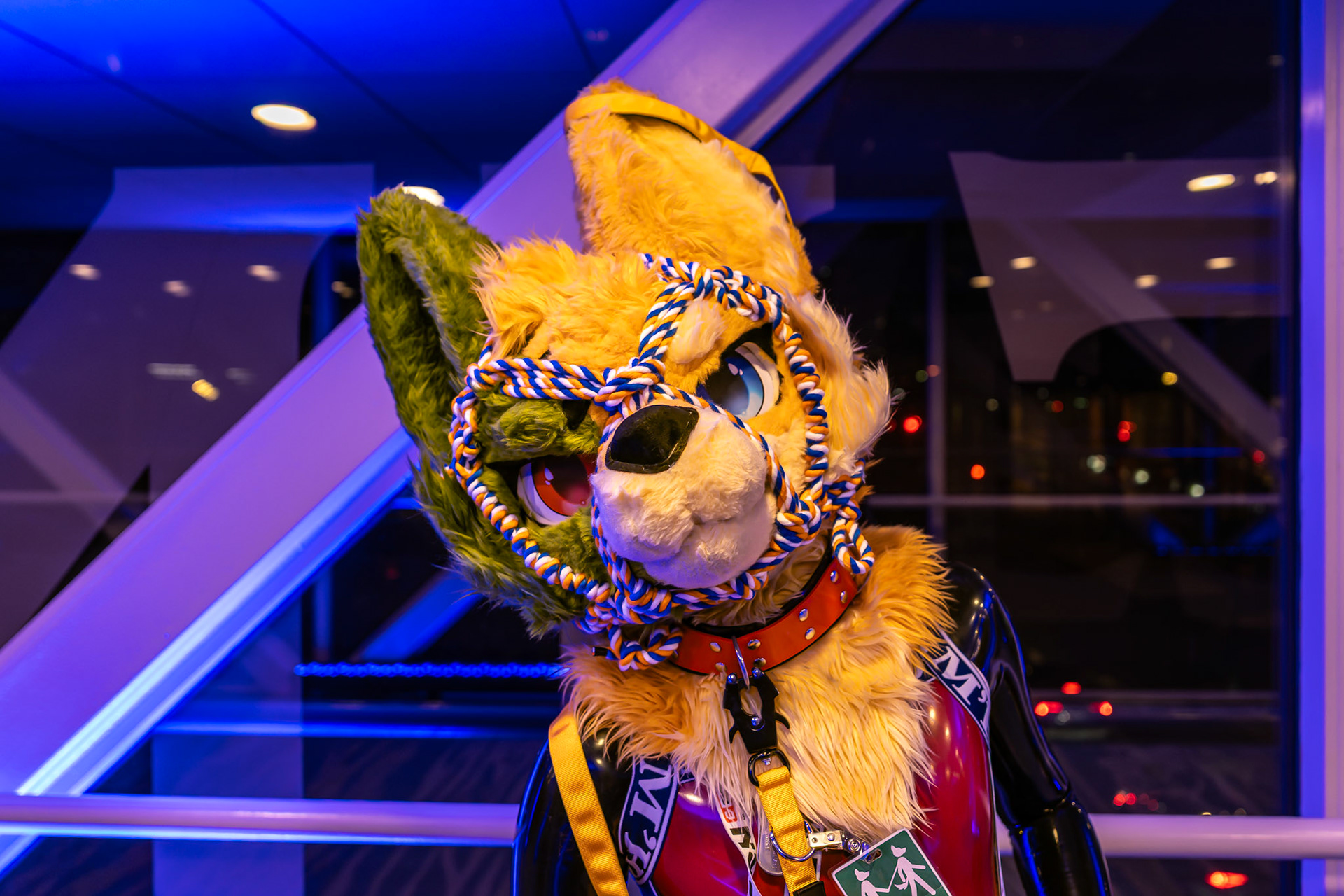 Furnal Equinox