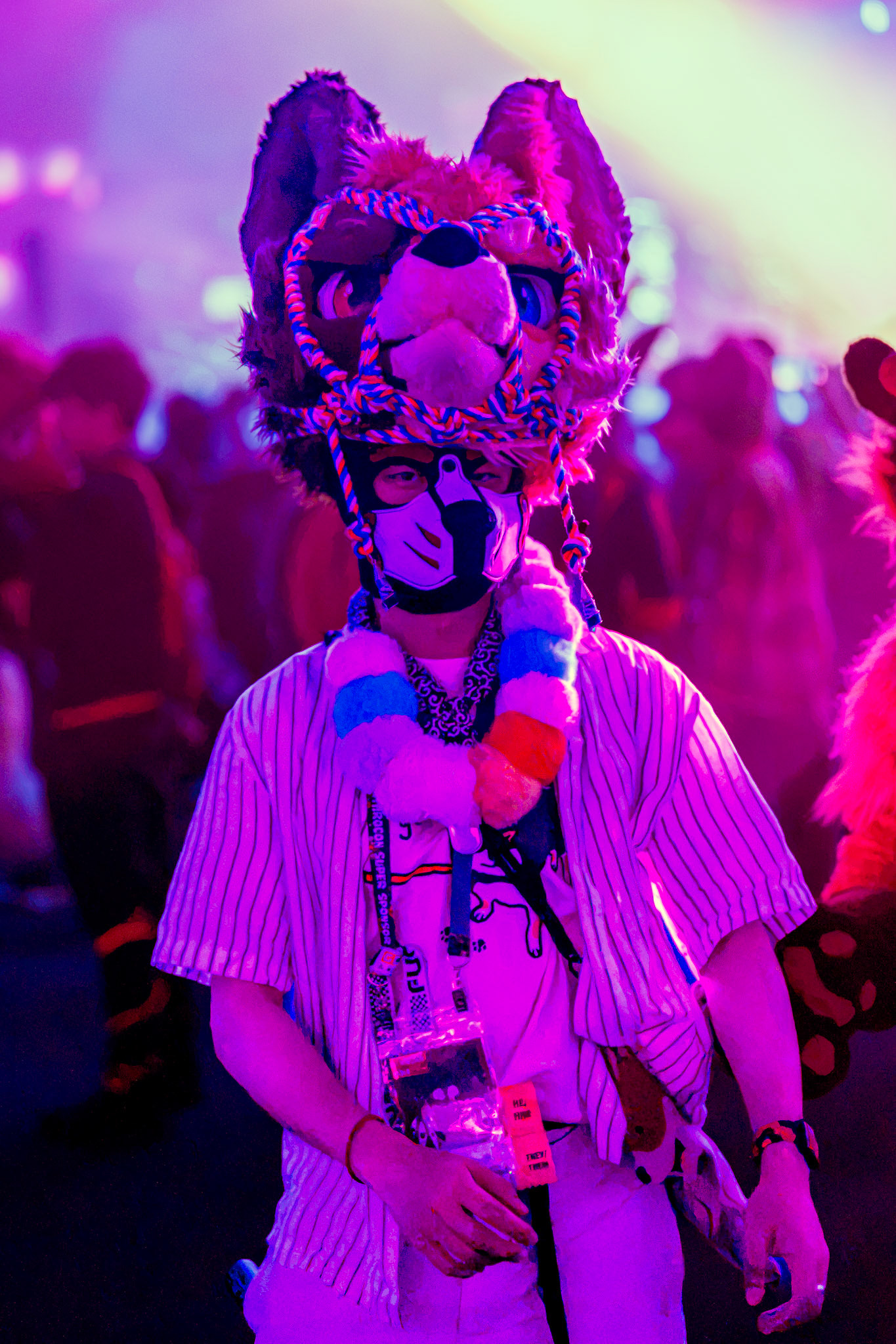 Anthrocon 2026