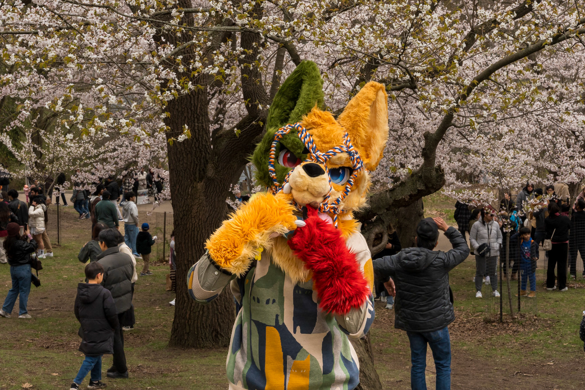 High Park 4.0