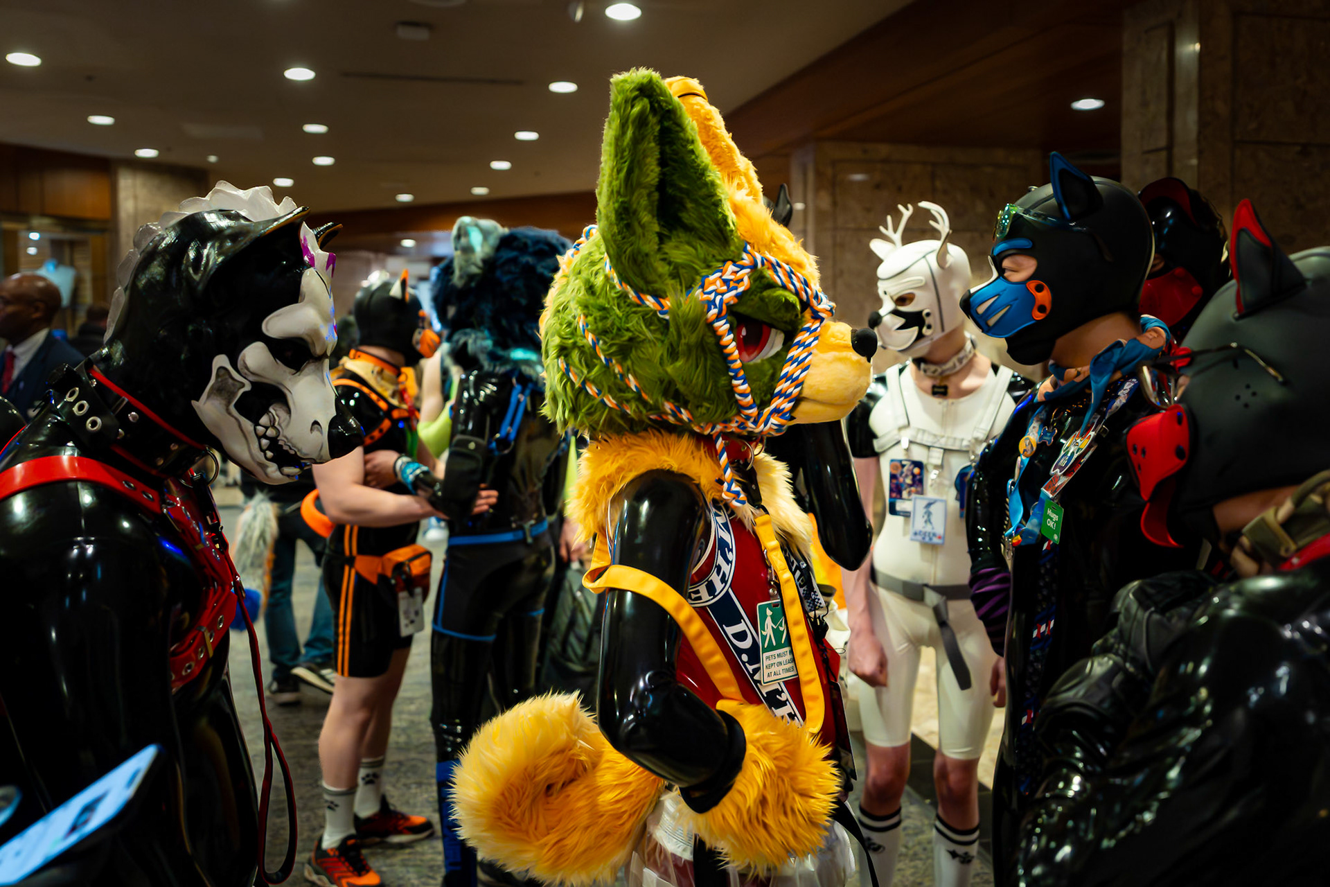 Furnal Equinox