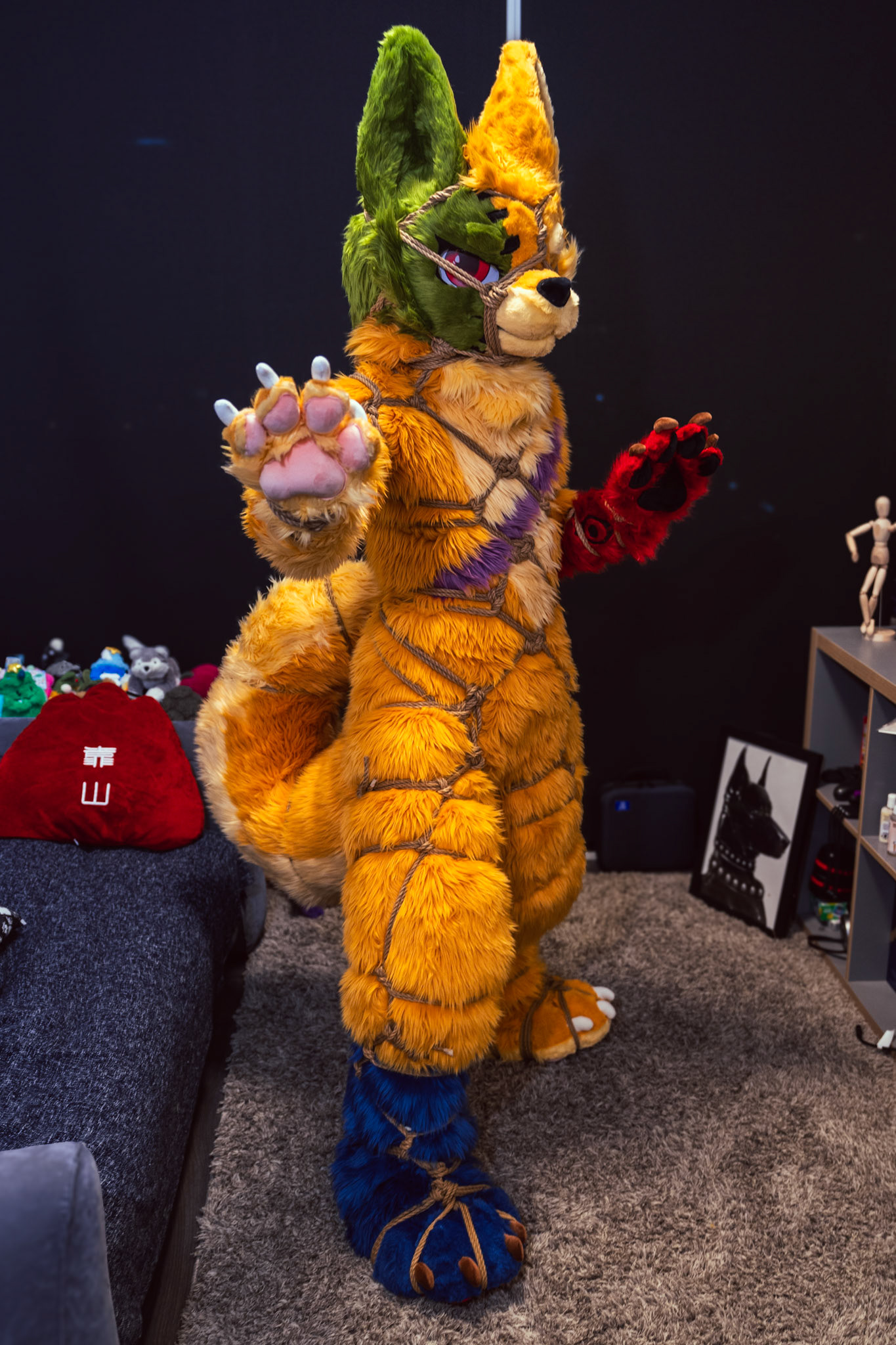 Shibari Inu