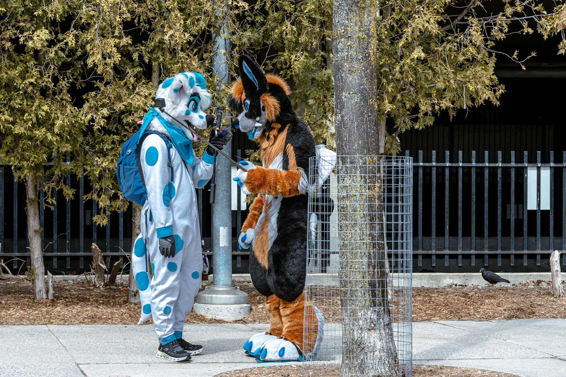Furnal Equinox 2025