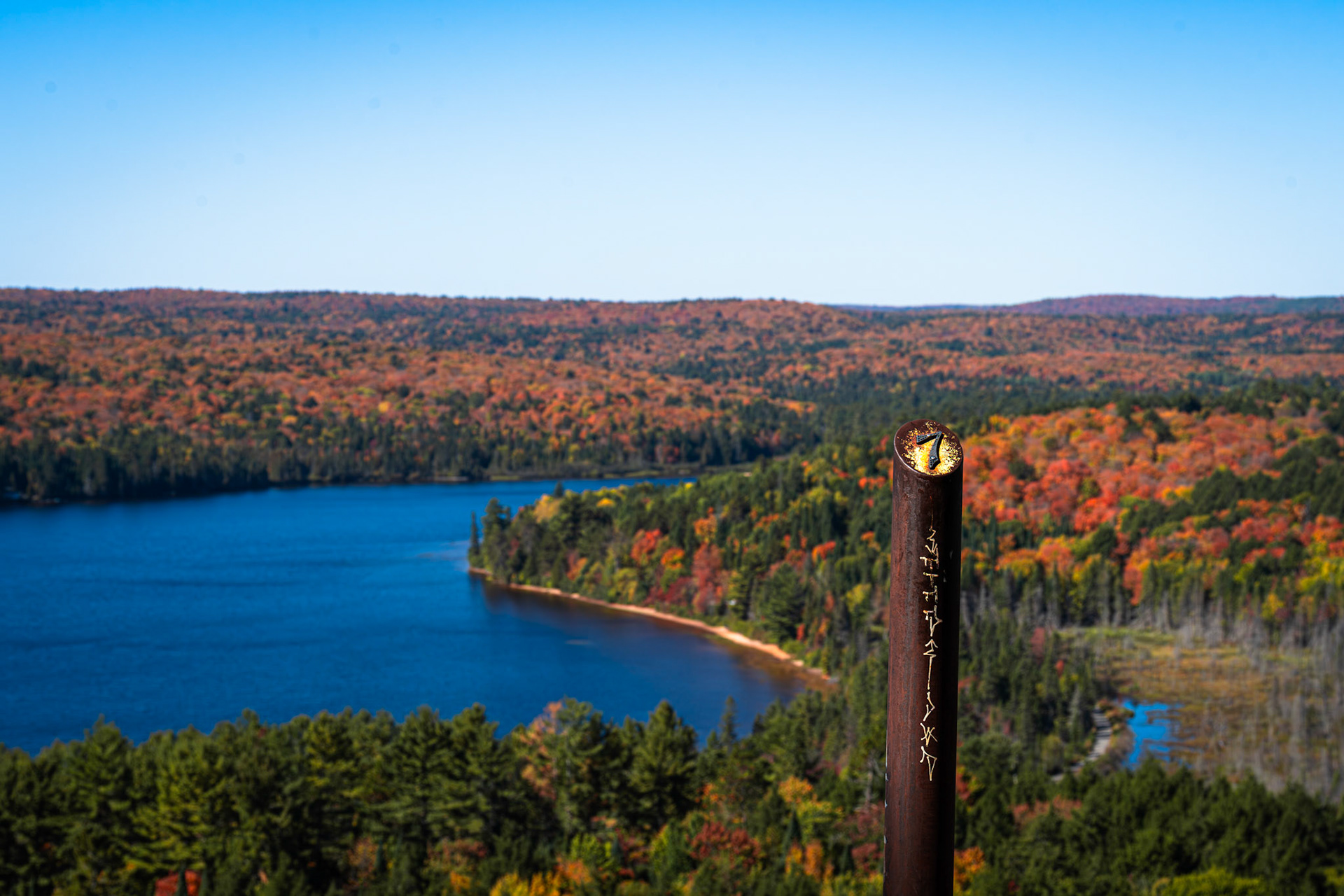 Algonquin Fall Colour