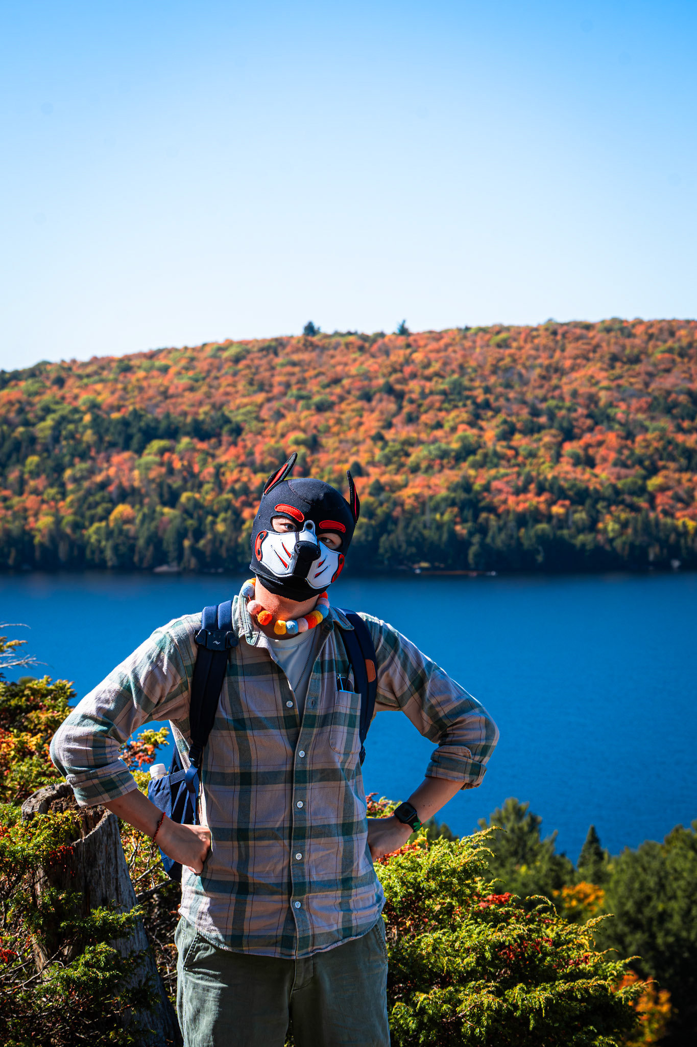 Algonquin Fall Colour