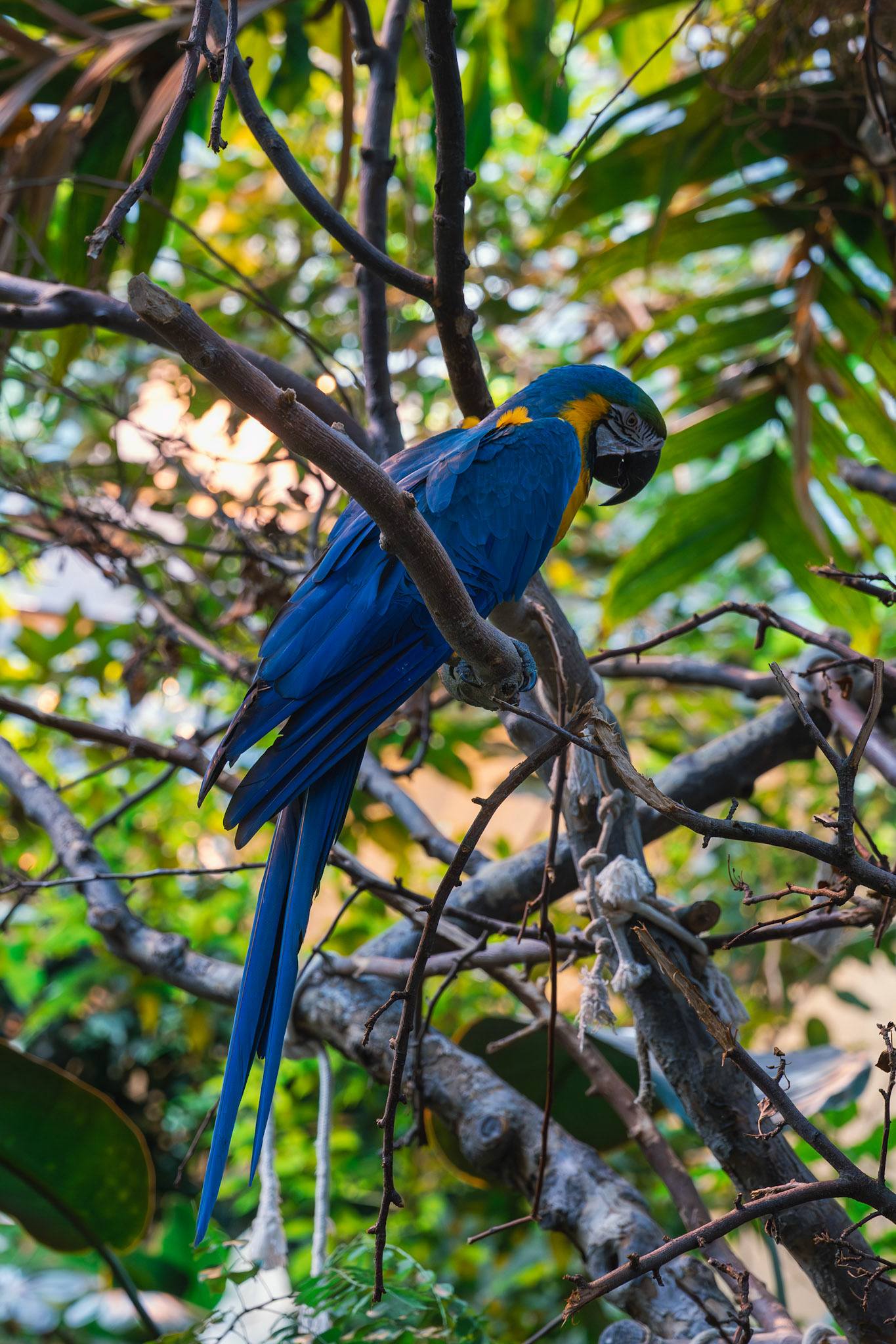 D'Ontario à Québec