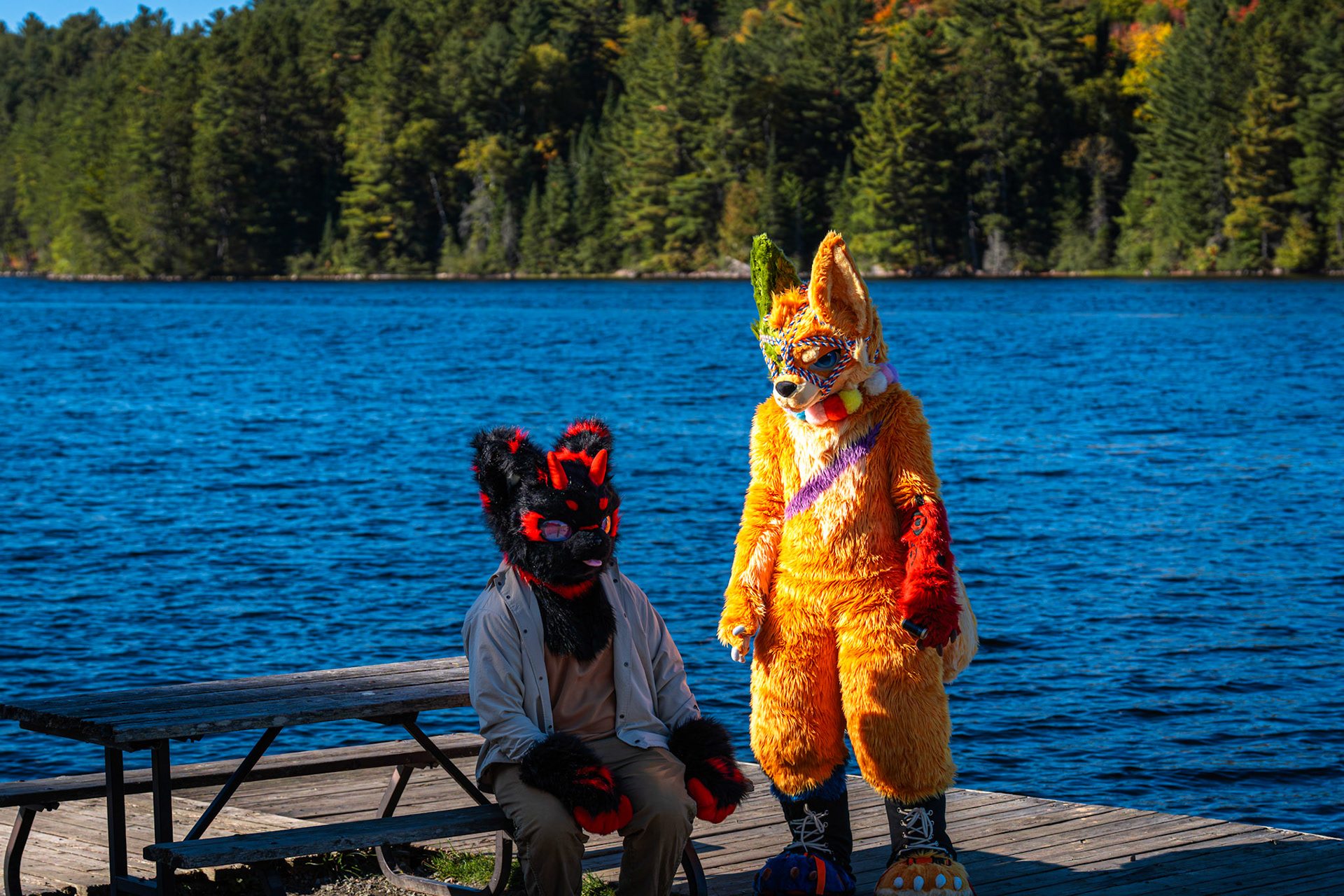 Algonquin Fall Colour