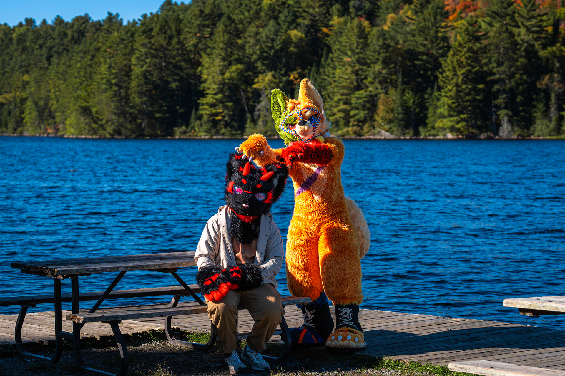 Algonquin Fall Colour