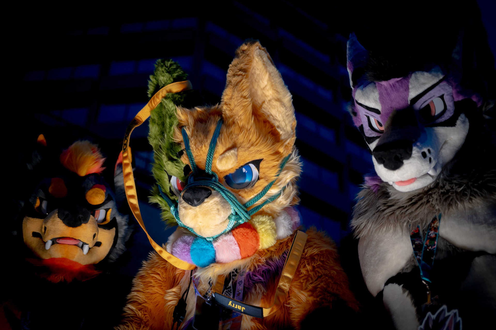 Furnal Equinox 2025
