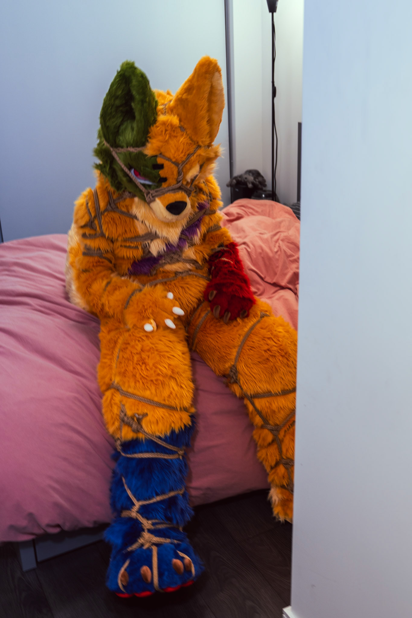 Shibari Inu