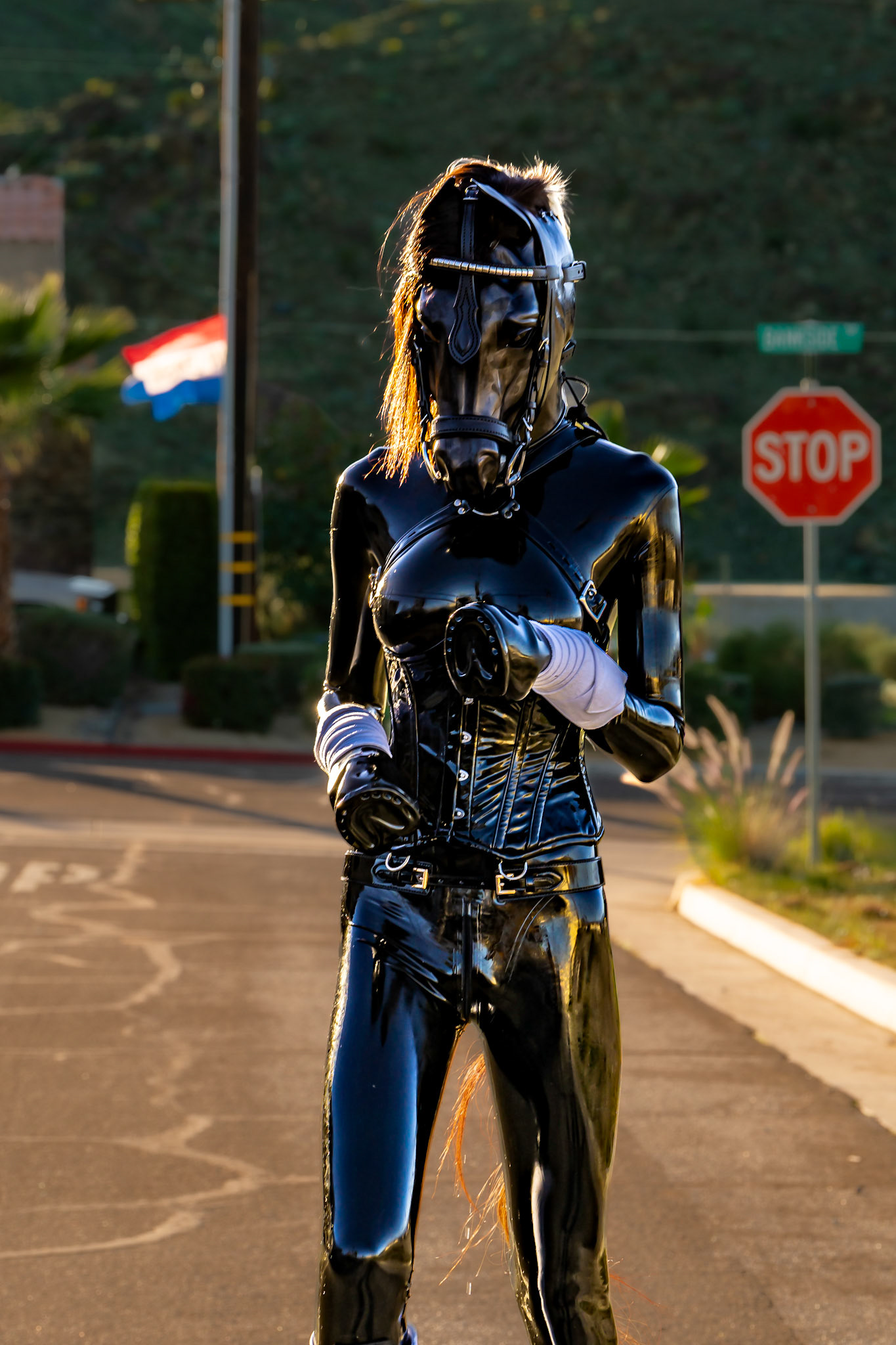 COG 2026