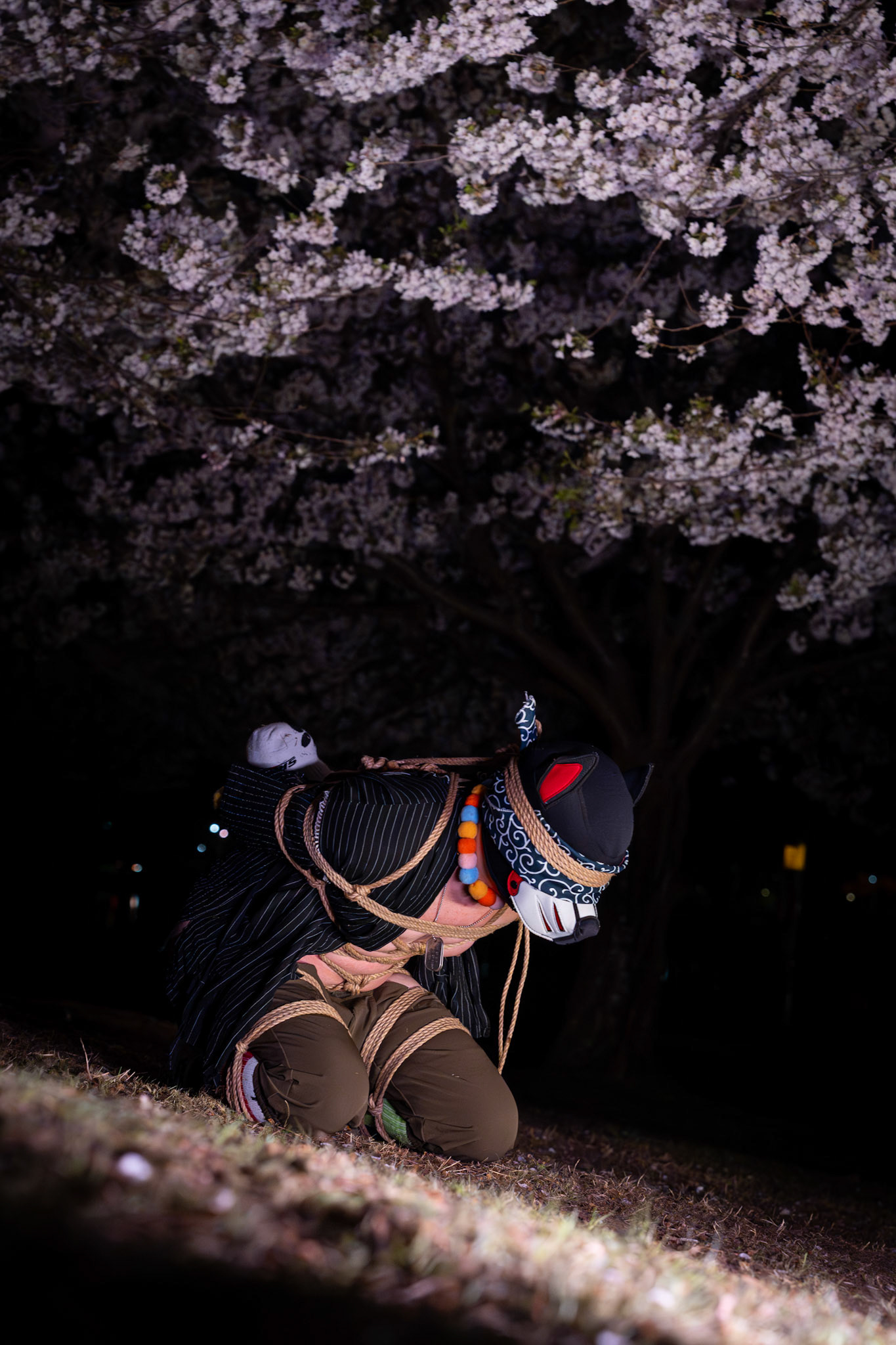 High Park 3.0