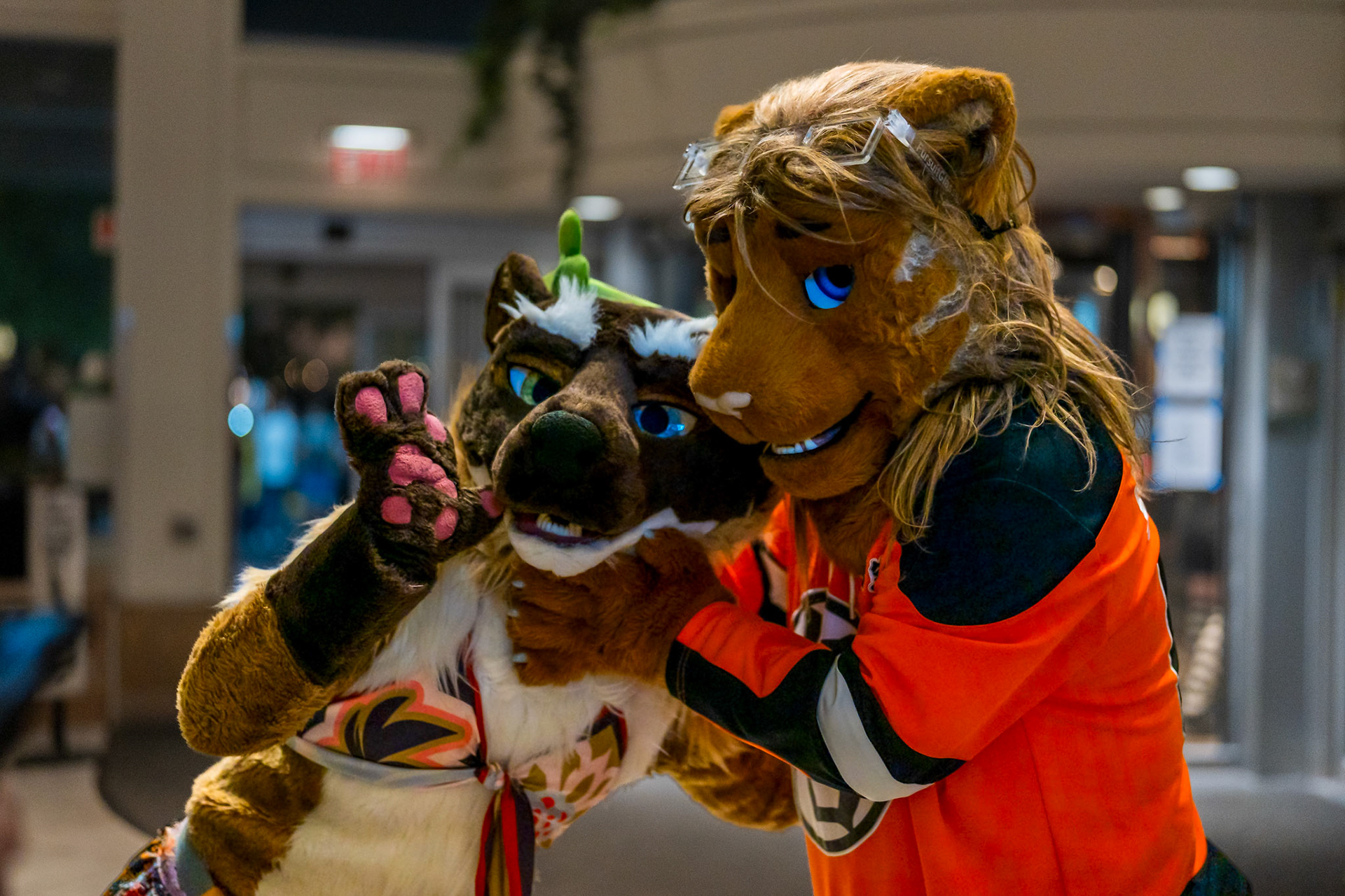 Anthrocon 2026