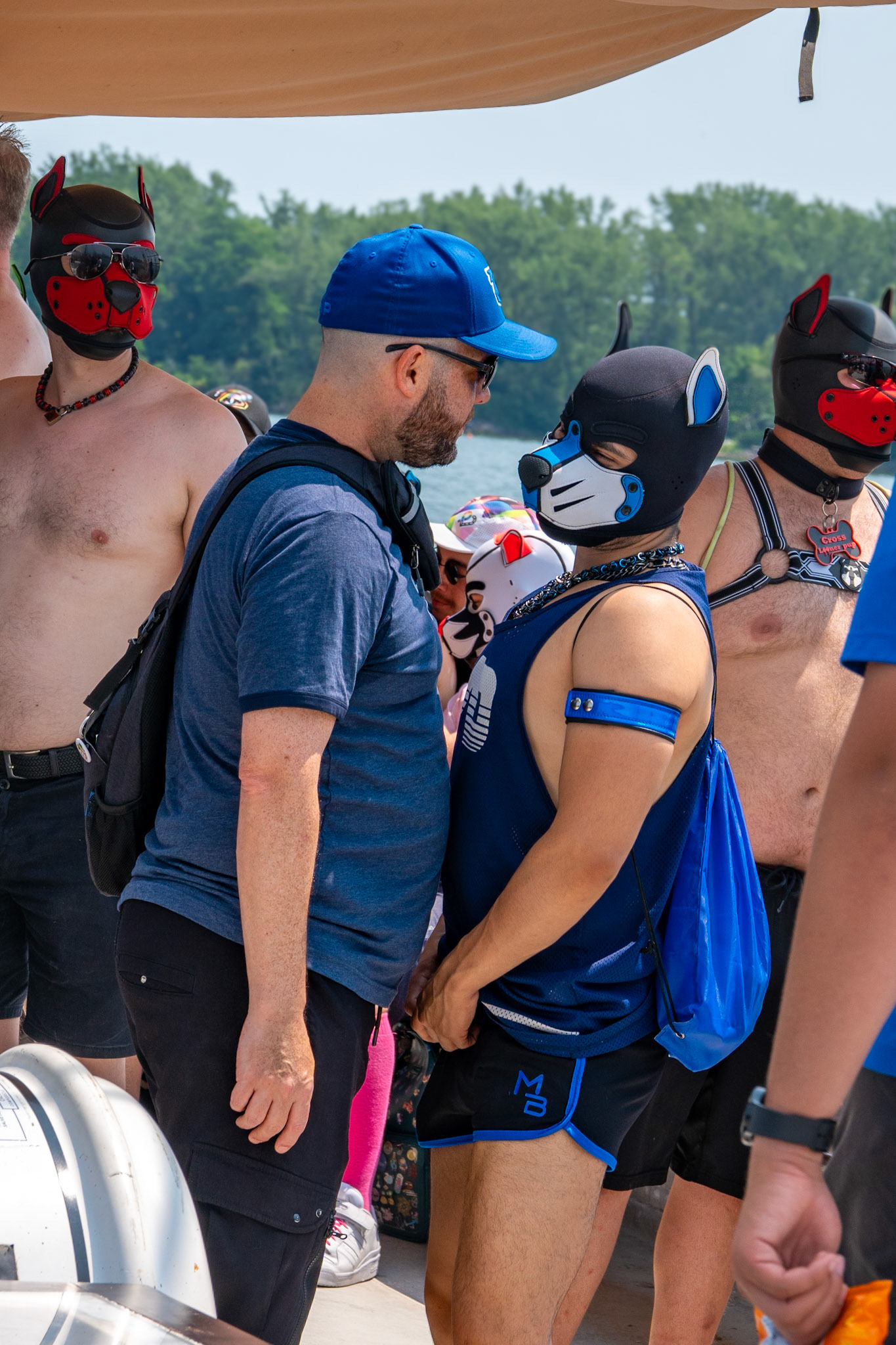 PUPPY CRUISE: ALL PAWS ON DECK