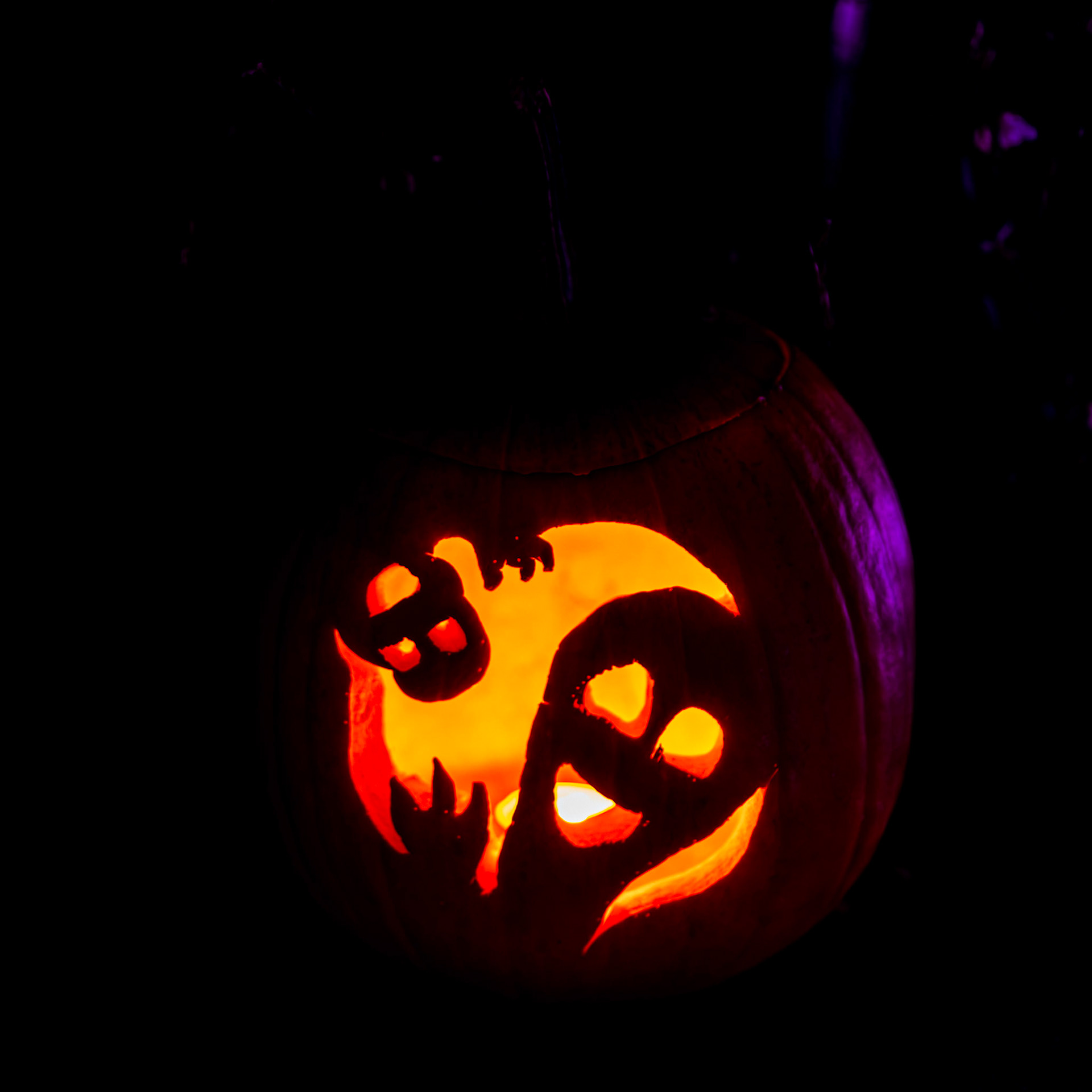 Pumpkin Trail