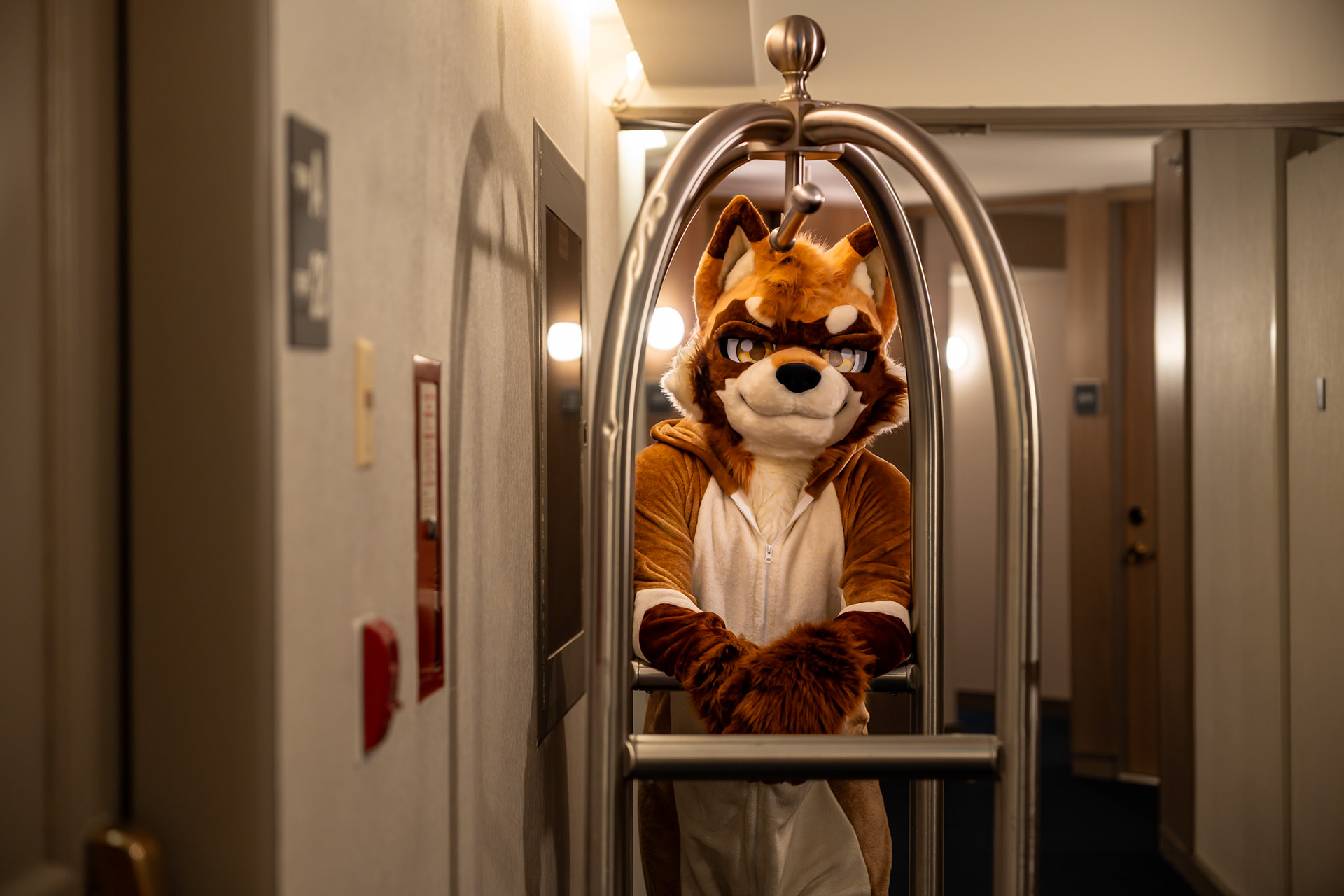 Furnal Equinox