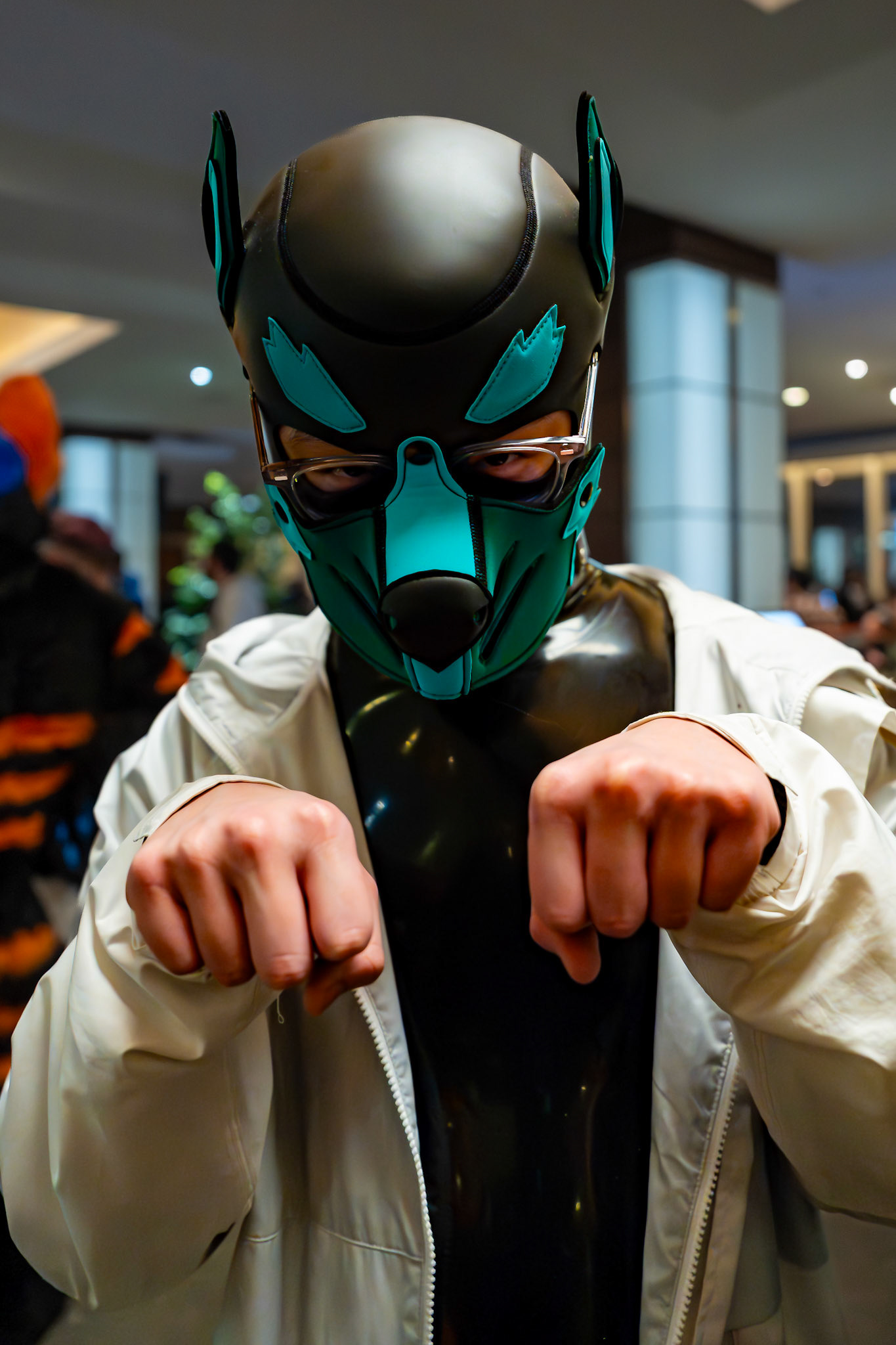 Furnal Equinox