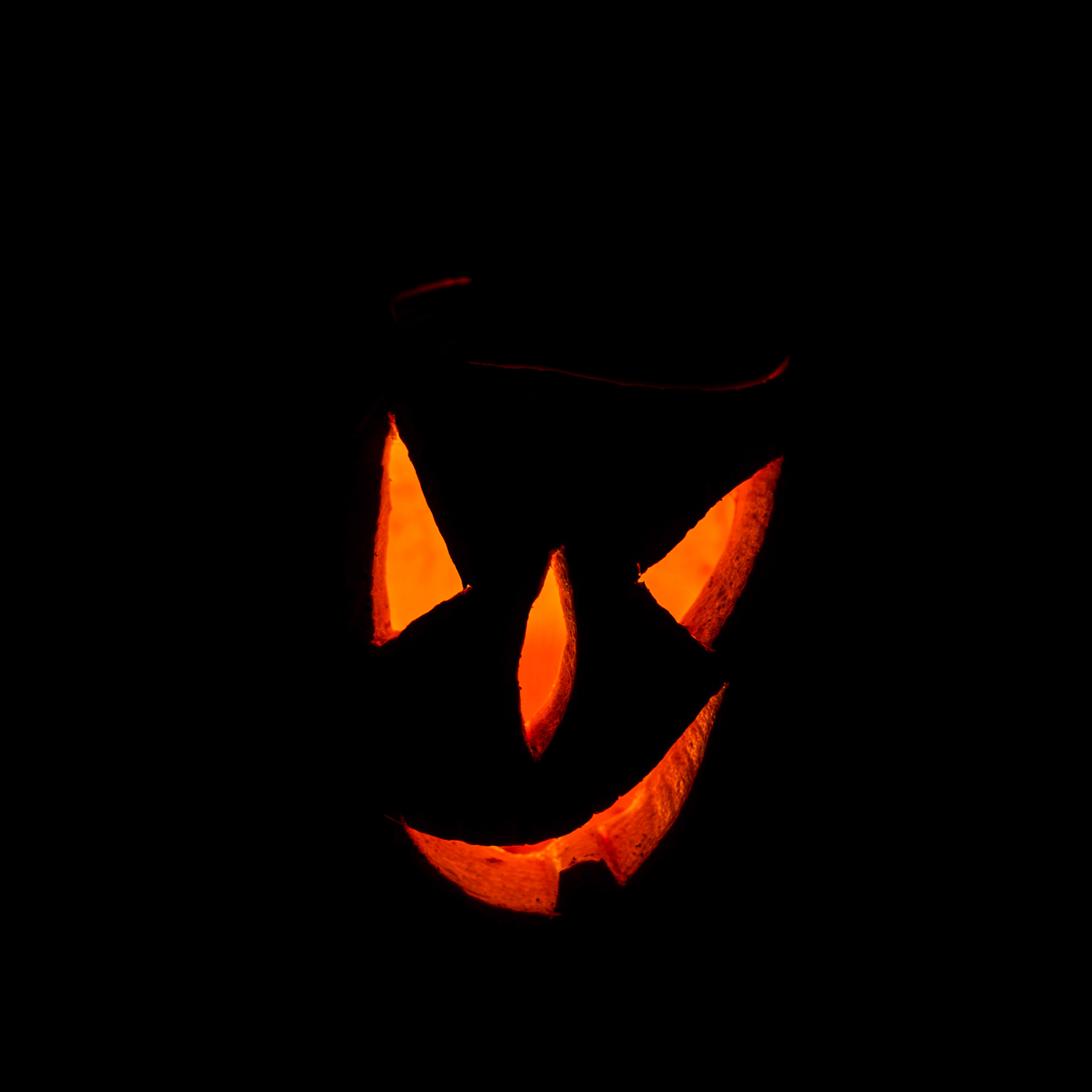 Pumpkin Trail