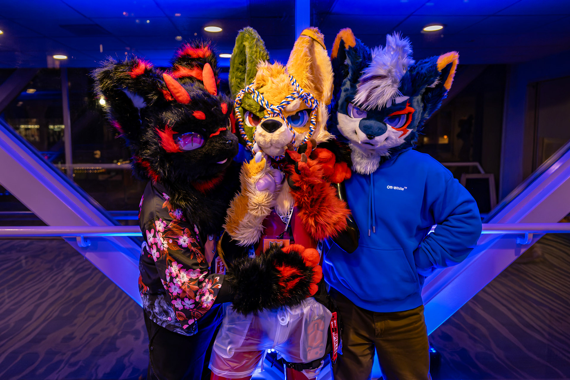 Furnal Equinox