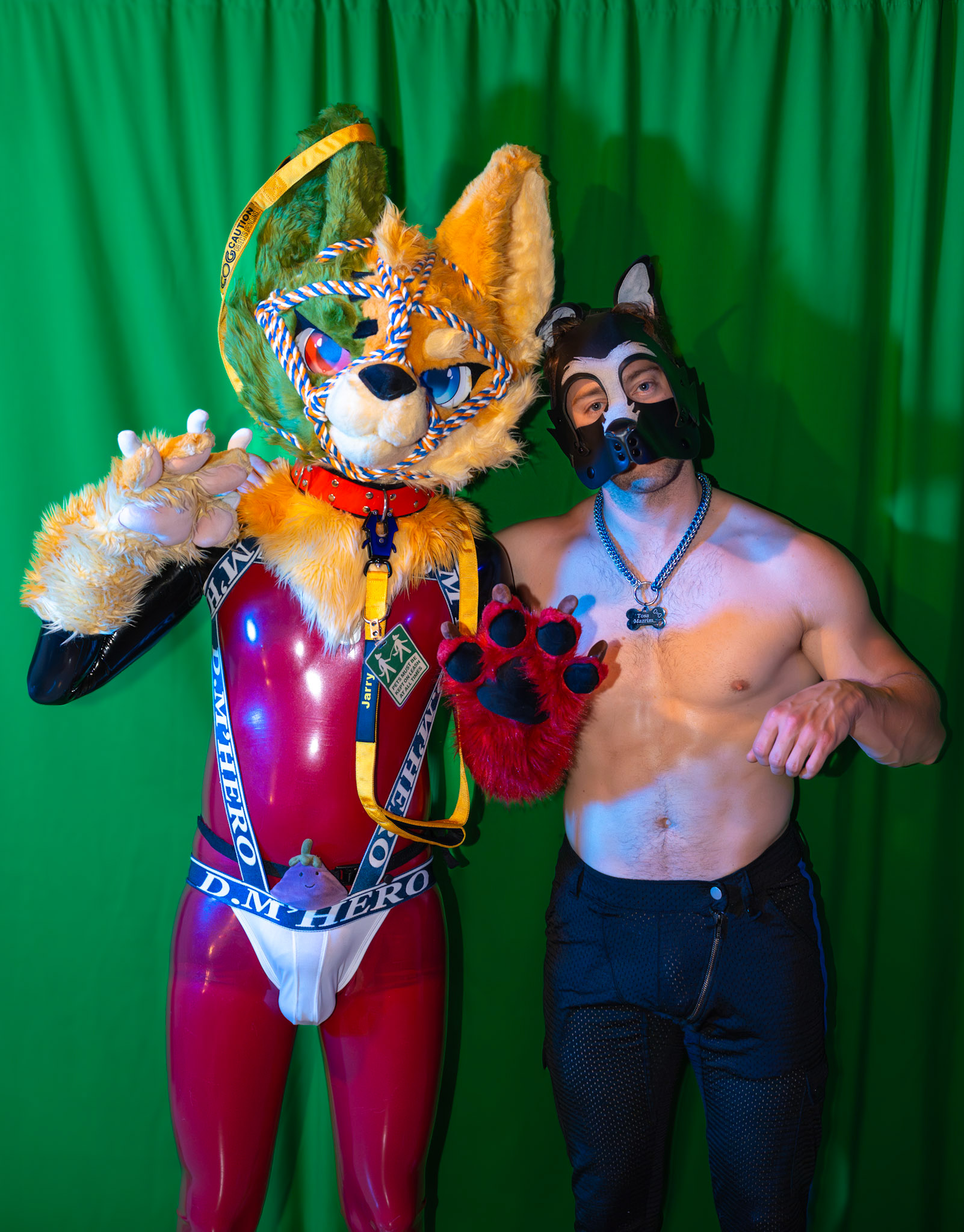 Pawty #2