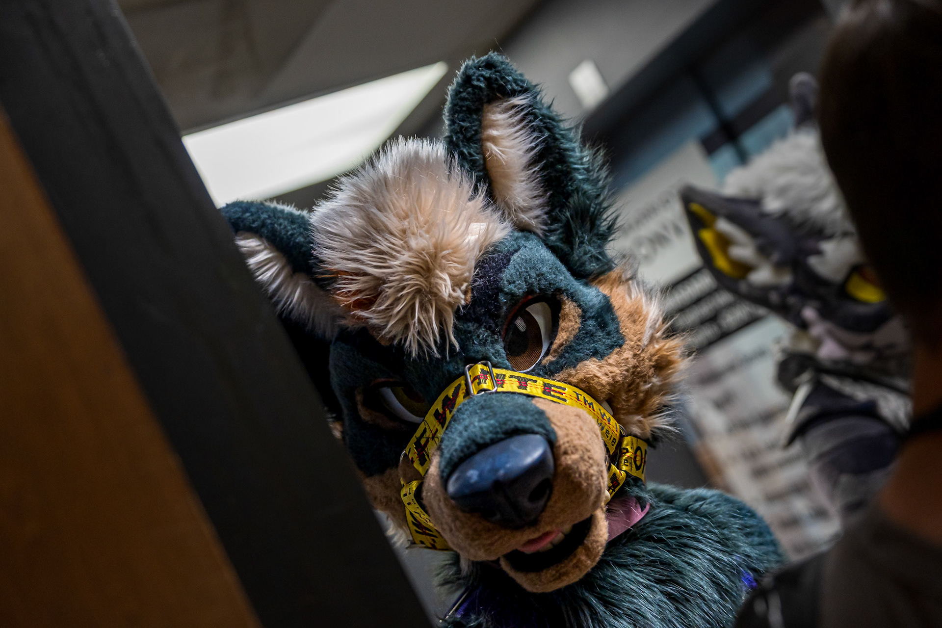 Anthrocon 2026