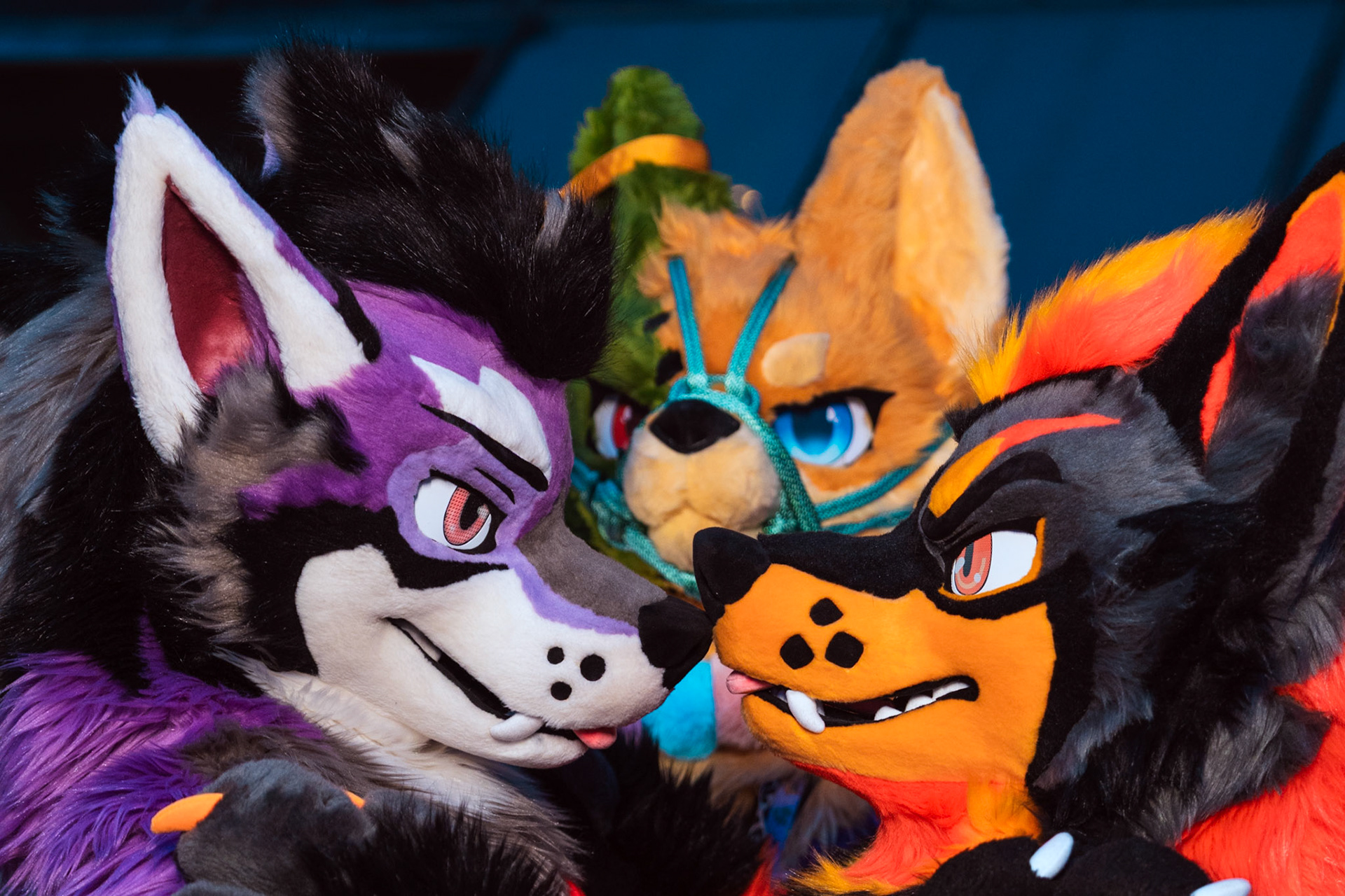 Furnal Equinox 2025