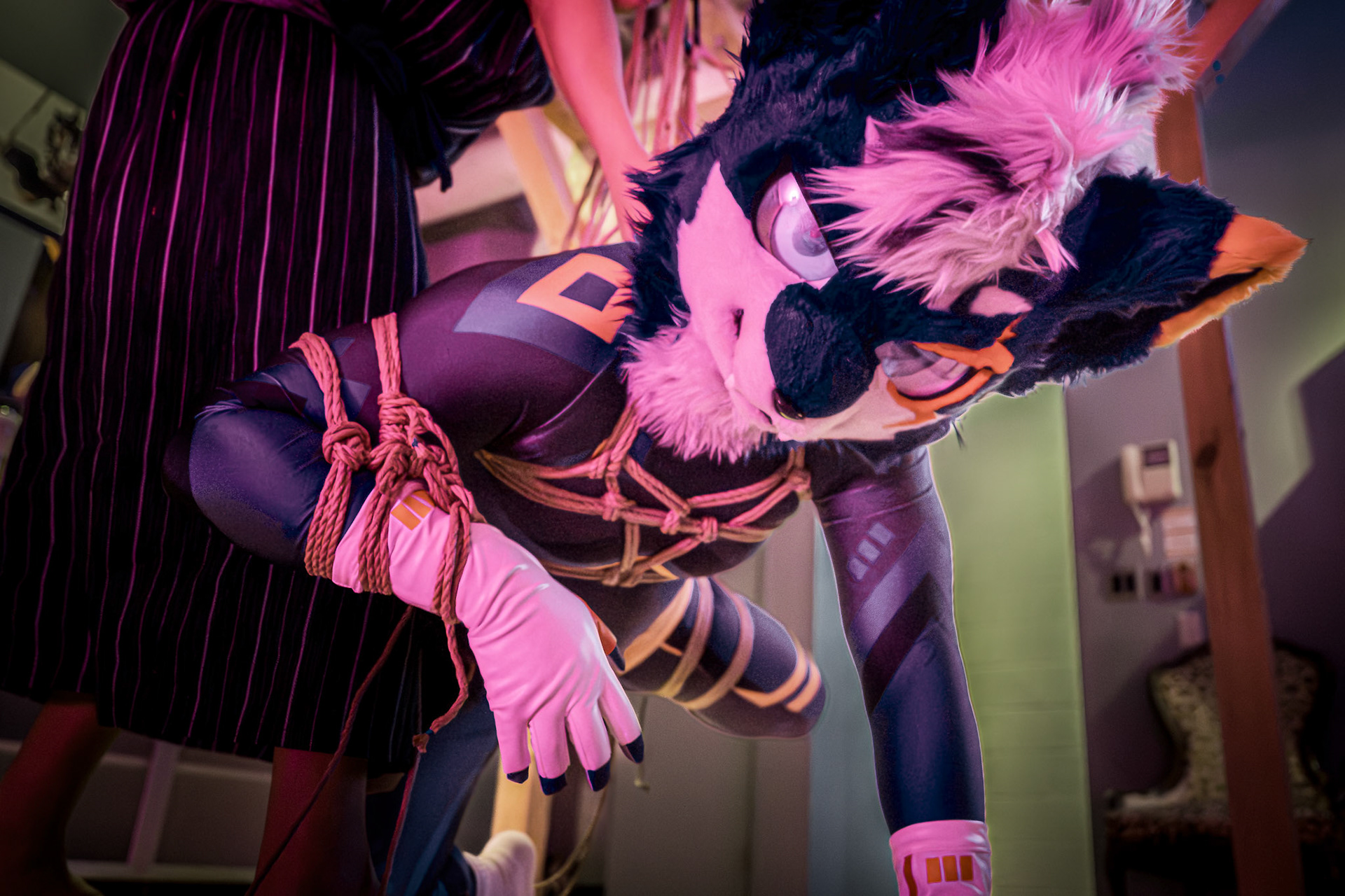 Kinbaku [20260501]