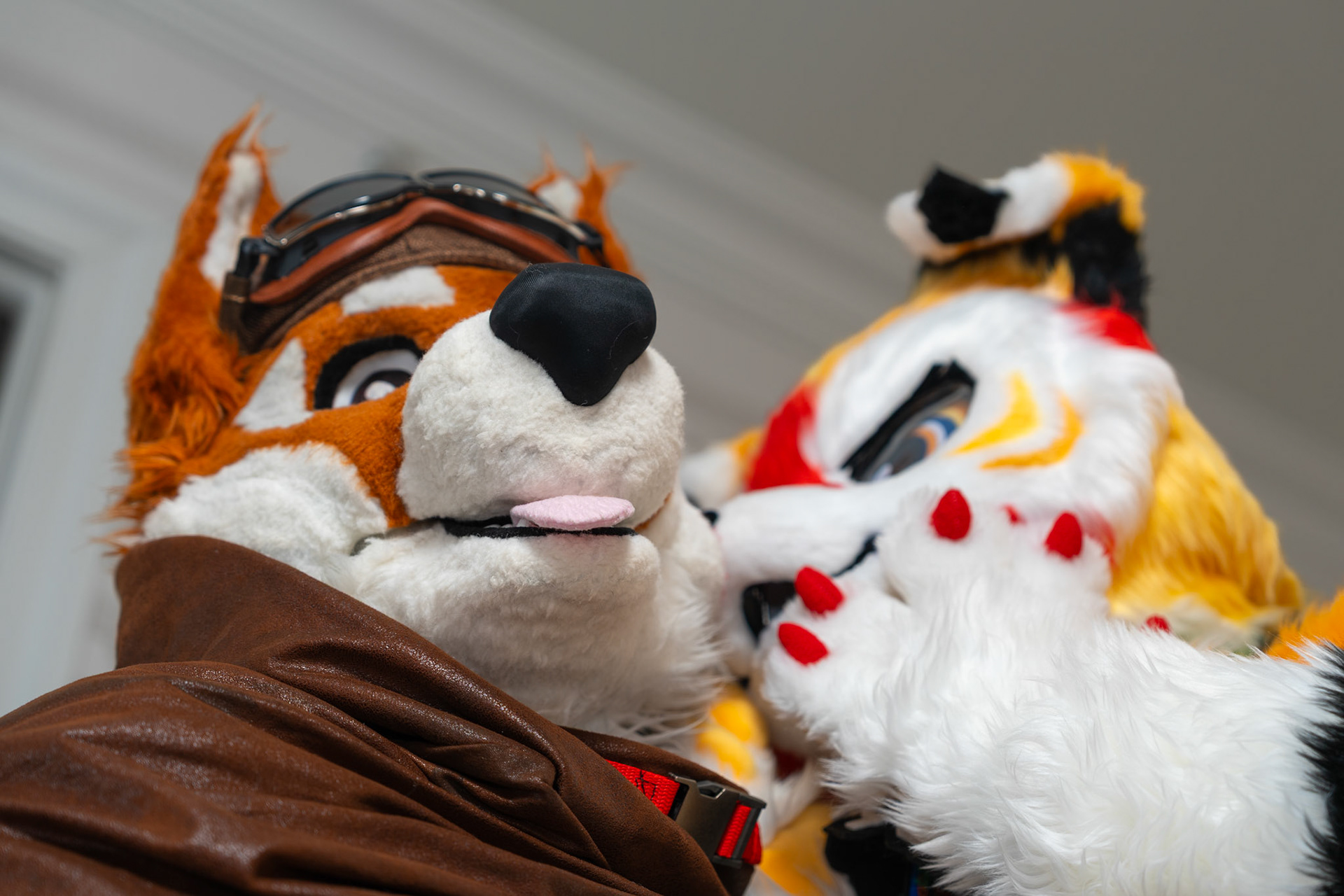 Anthrocon 2025