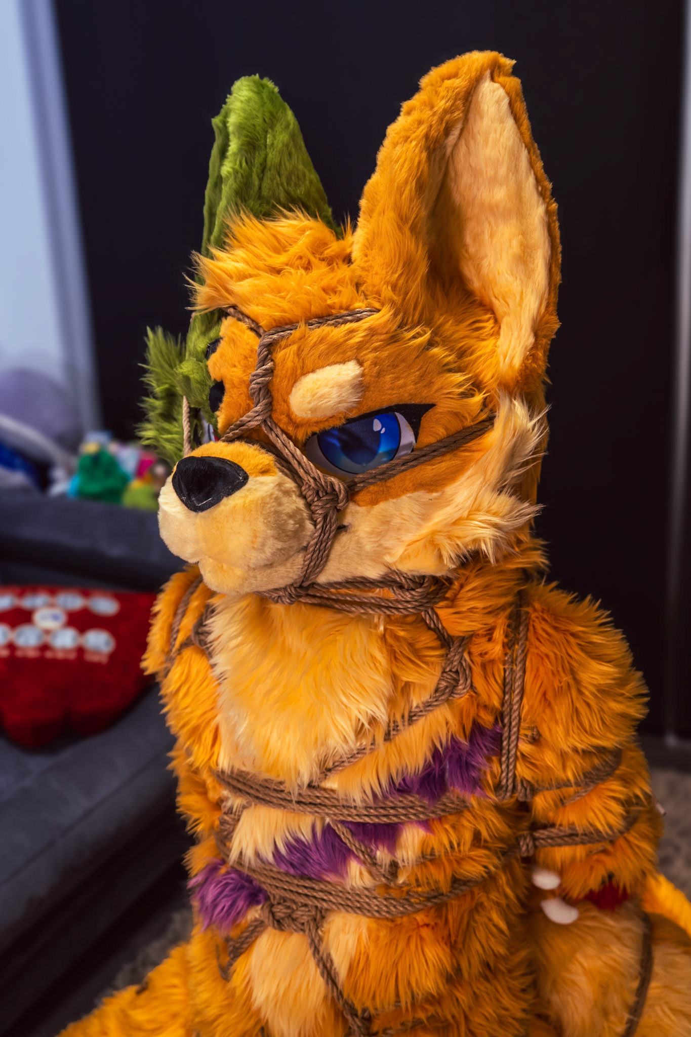 Shibari Inu