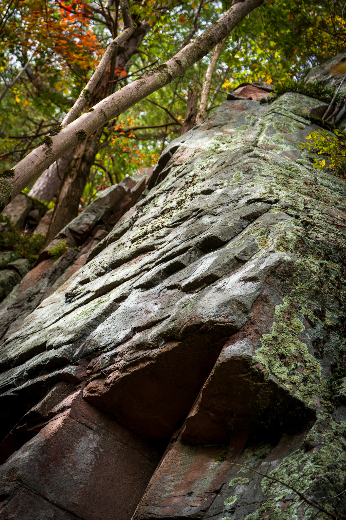 Thousand Islands National Park