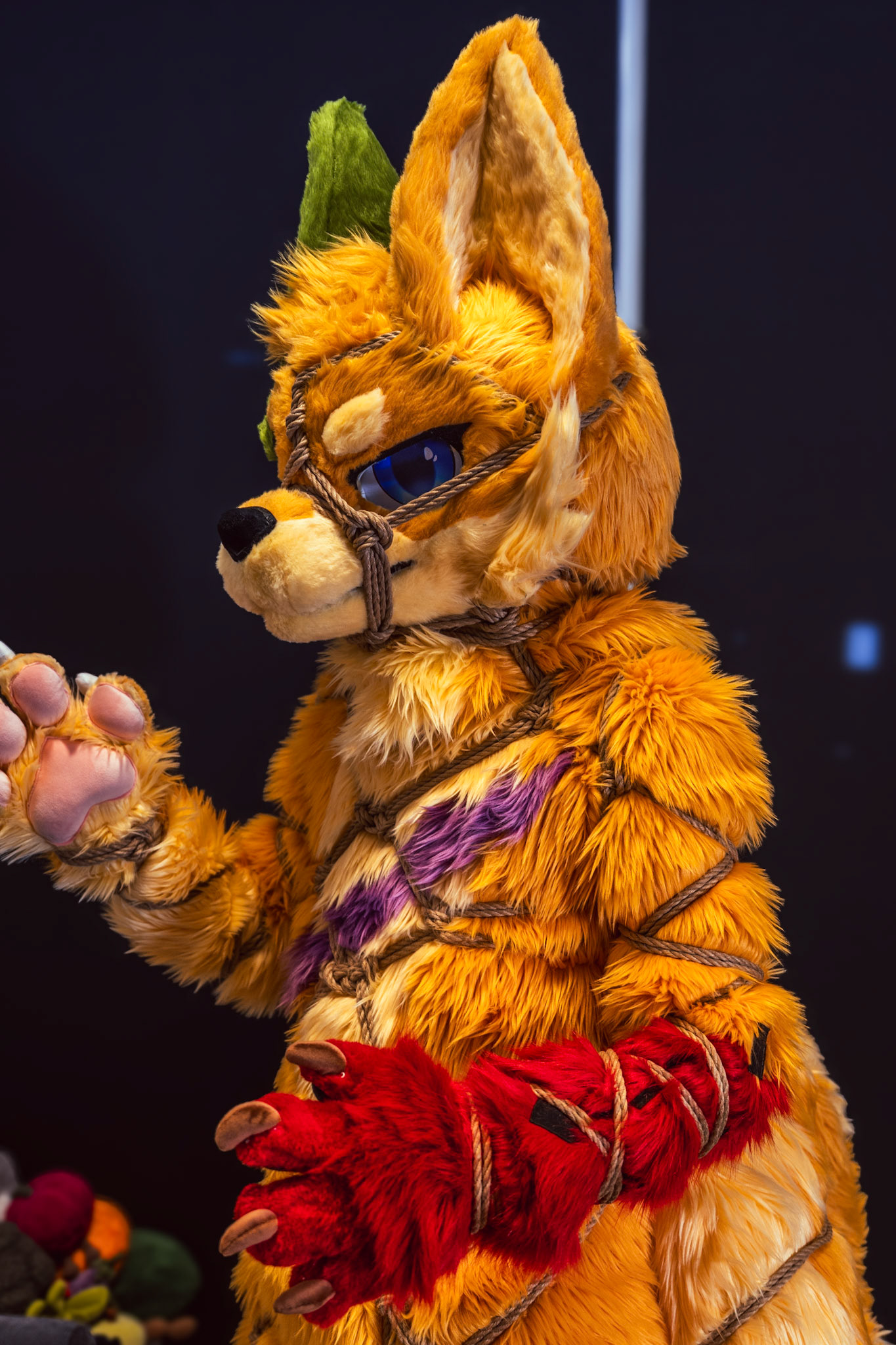 Shibari Inu