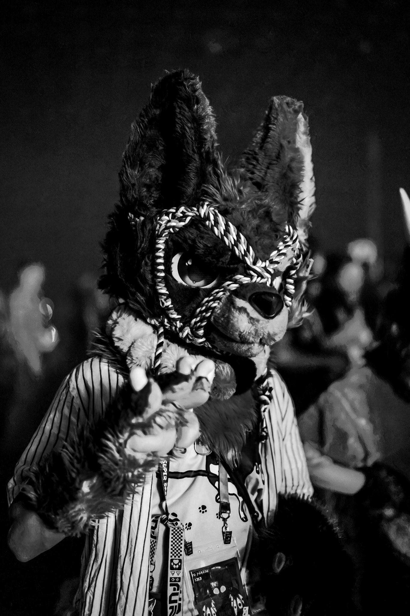 Anthrocon 2026