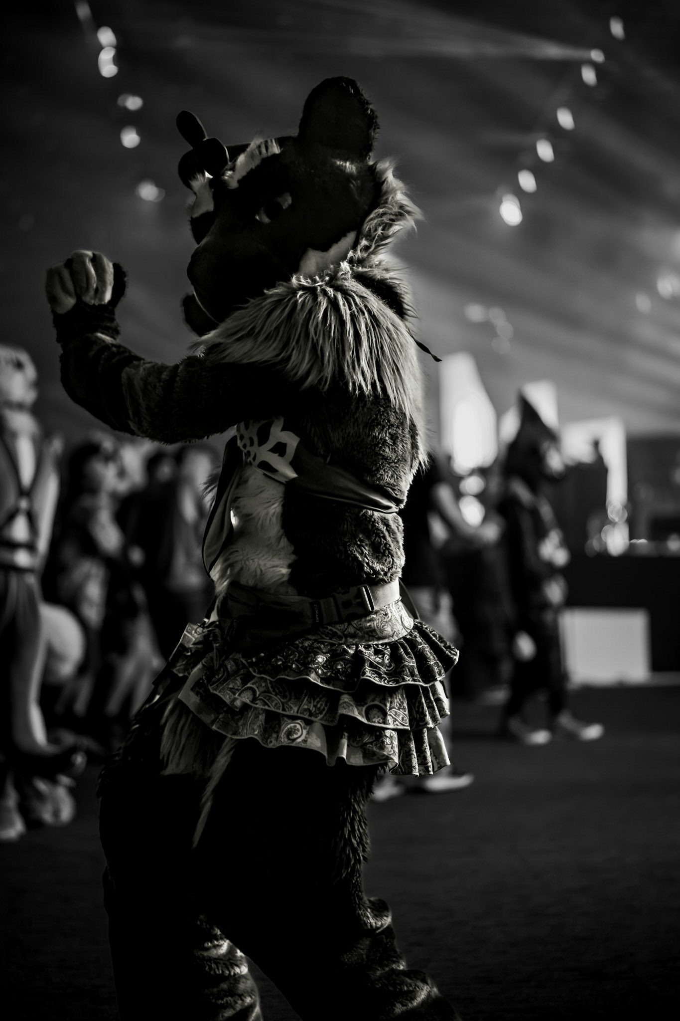 Anthrocon 2026