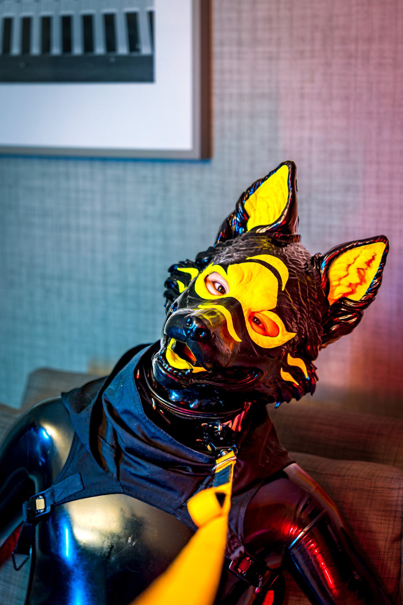Anthrocon 2026
