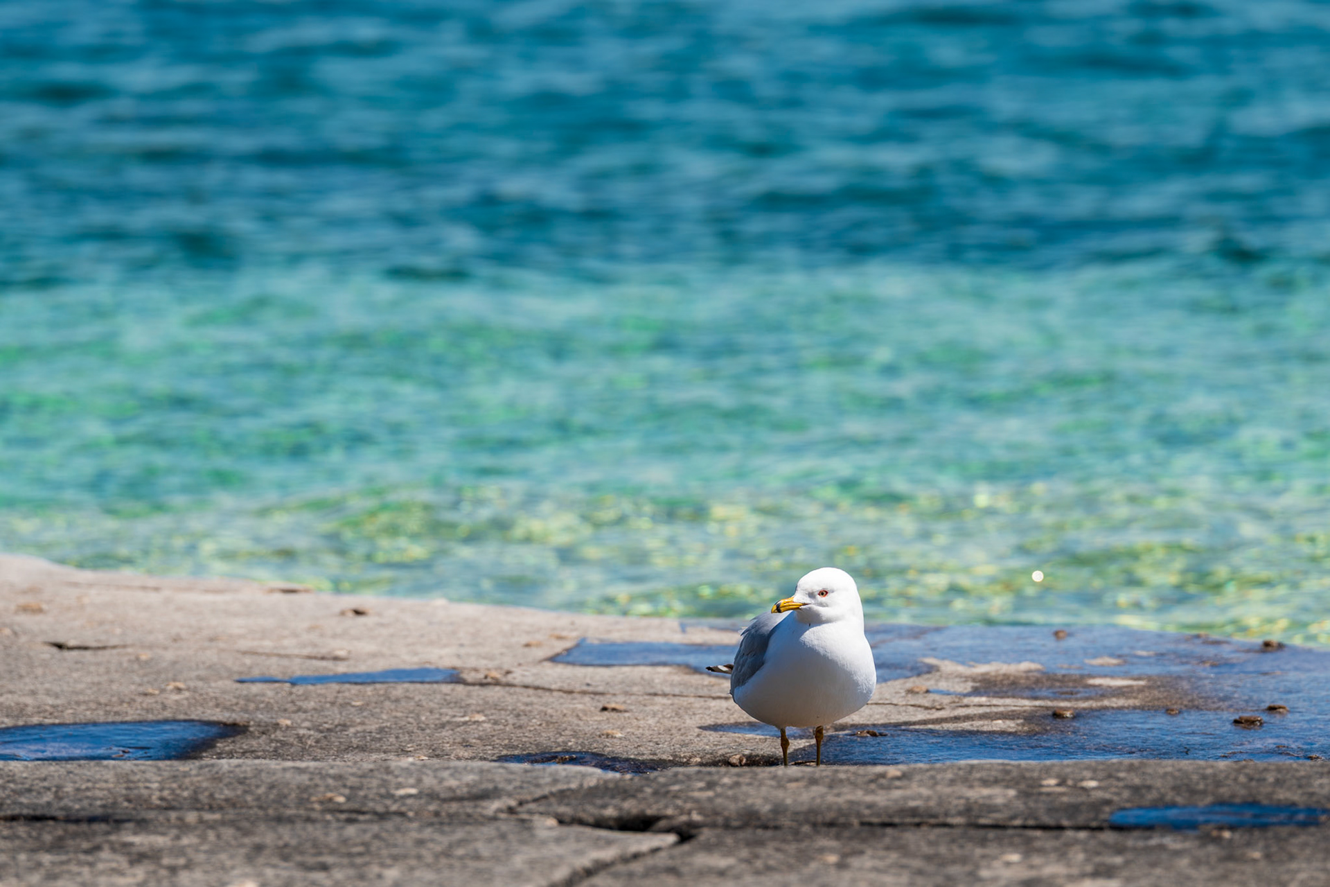 Bruce Peninsula