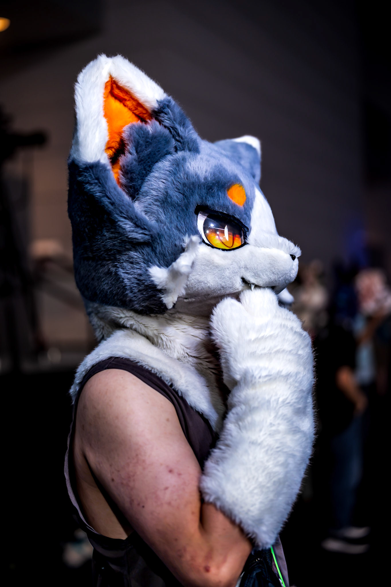 Anthrocon 2026