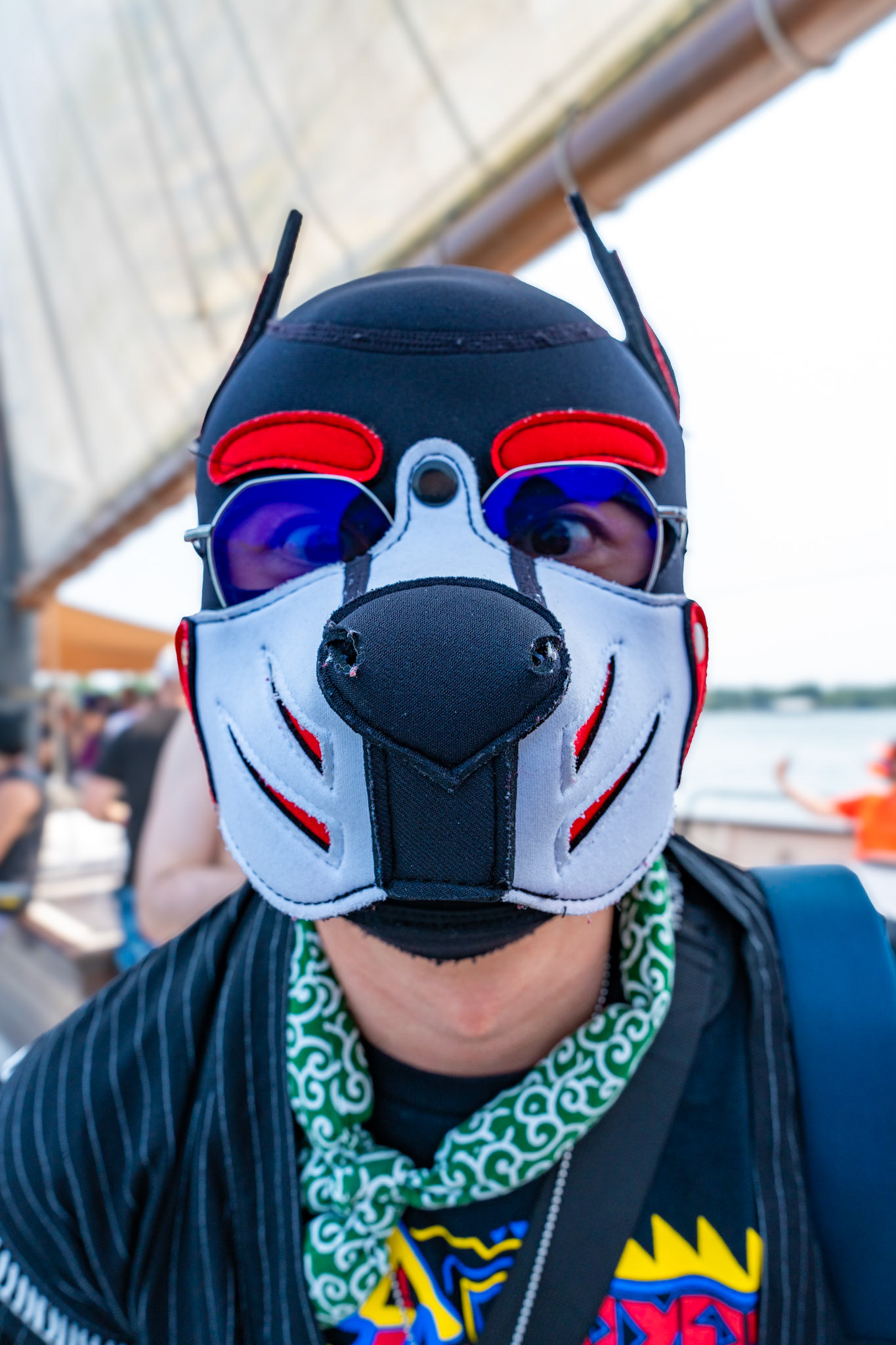 PUPPY CRUISE: ALL PAWS ON DECK