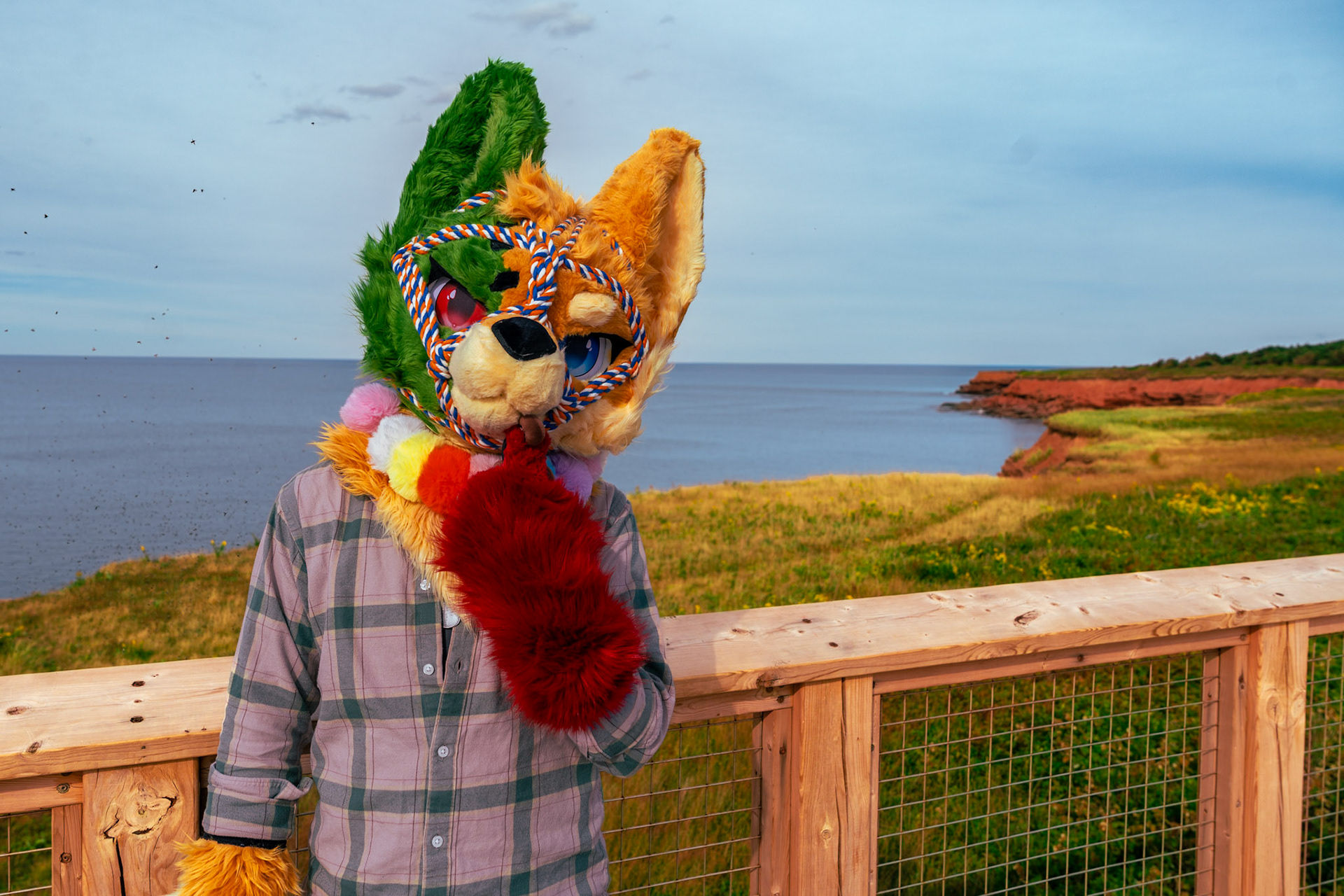 PEI Labour Day Trip