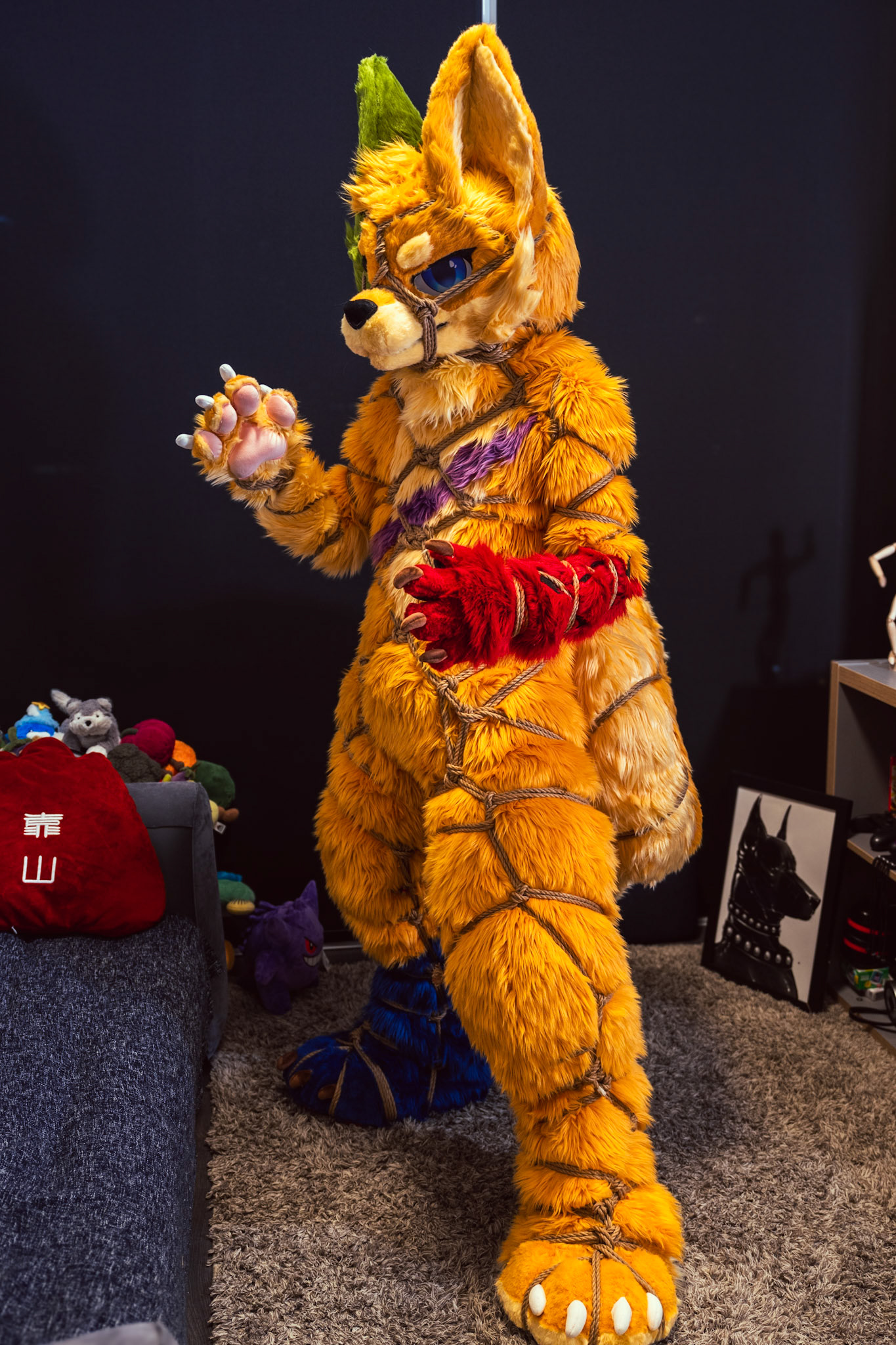 Shibari Inu