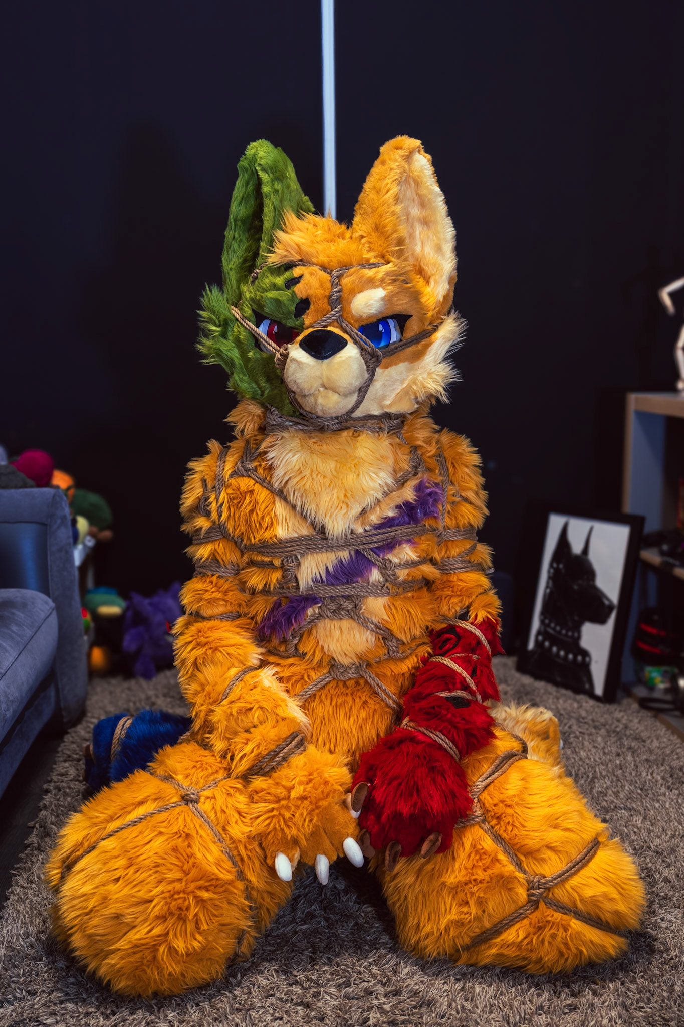 Shibari Inu